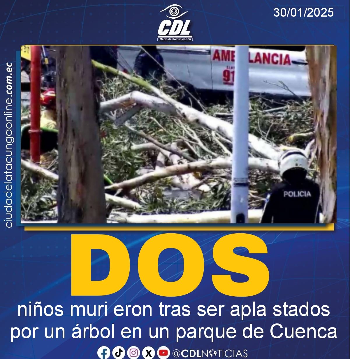 Dos niños muri eron tras ser apla stados por un árbol en un parque de Cuenca