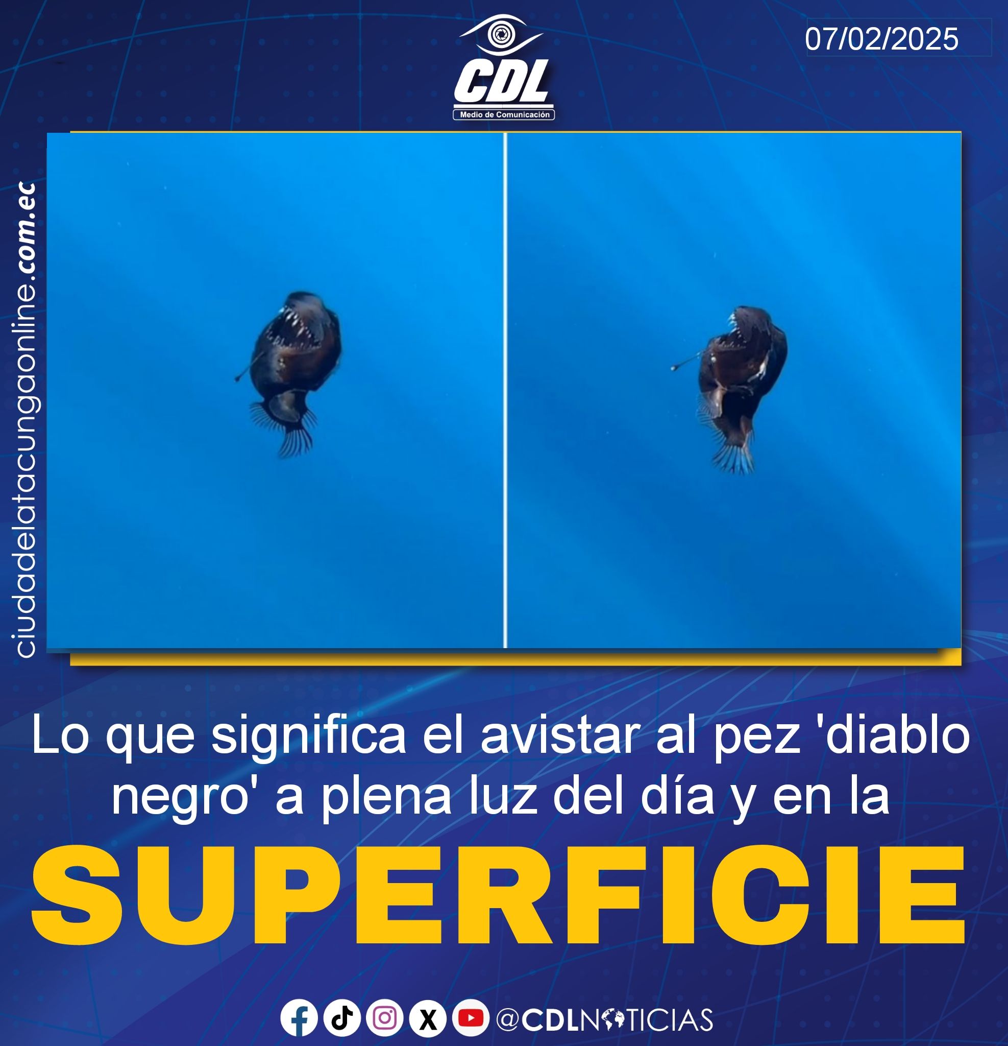 Lo que significa el avistar al pez ‘diablo negro’ a plena luz del día y en la superficie