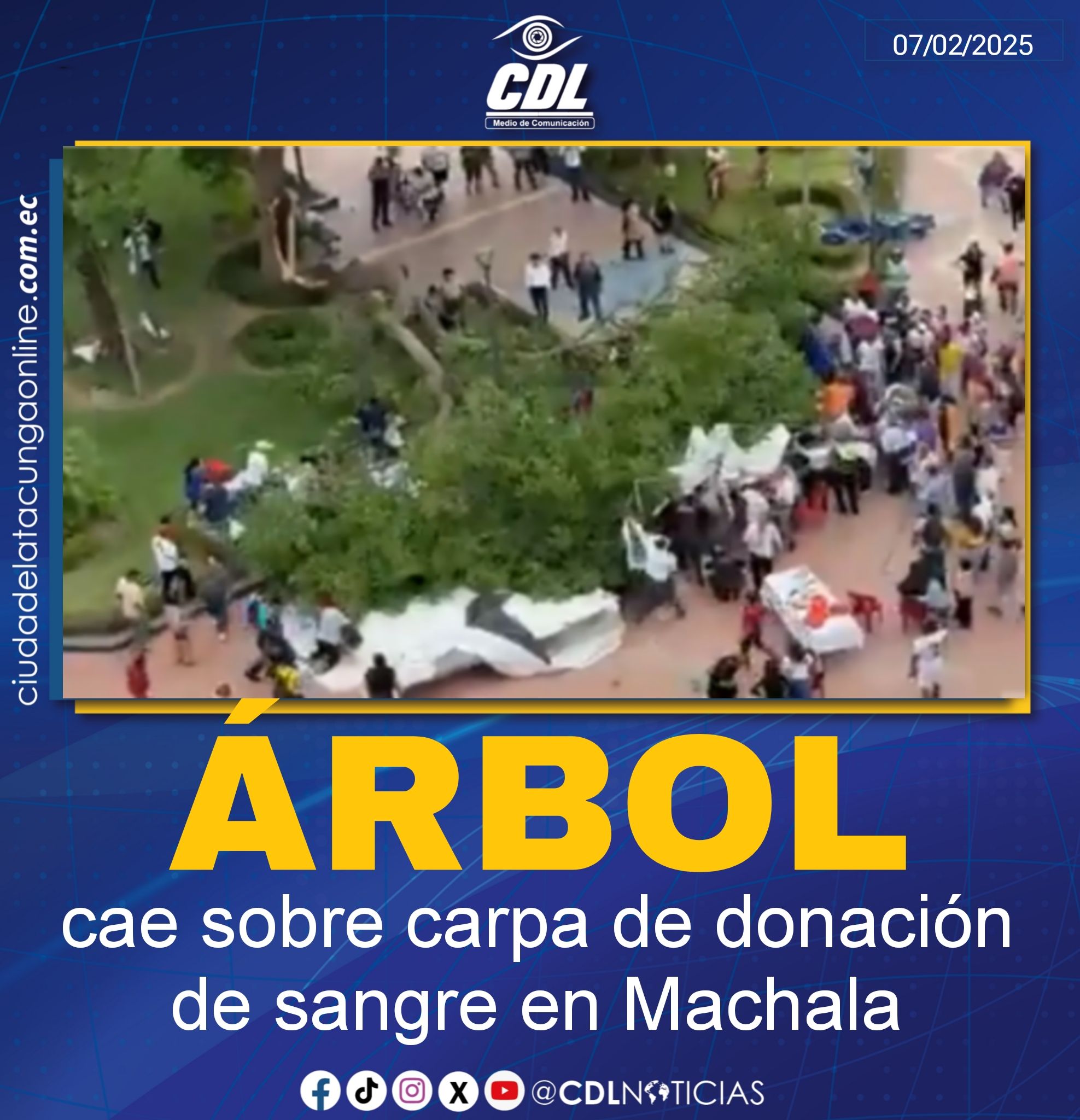 Árbol cae sobre carpa de donación de sangre en Machala