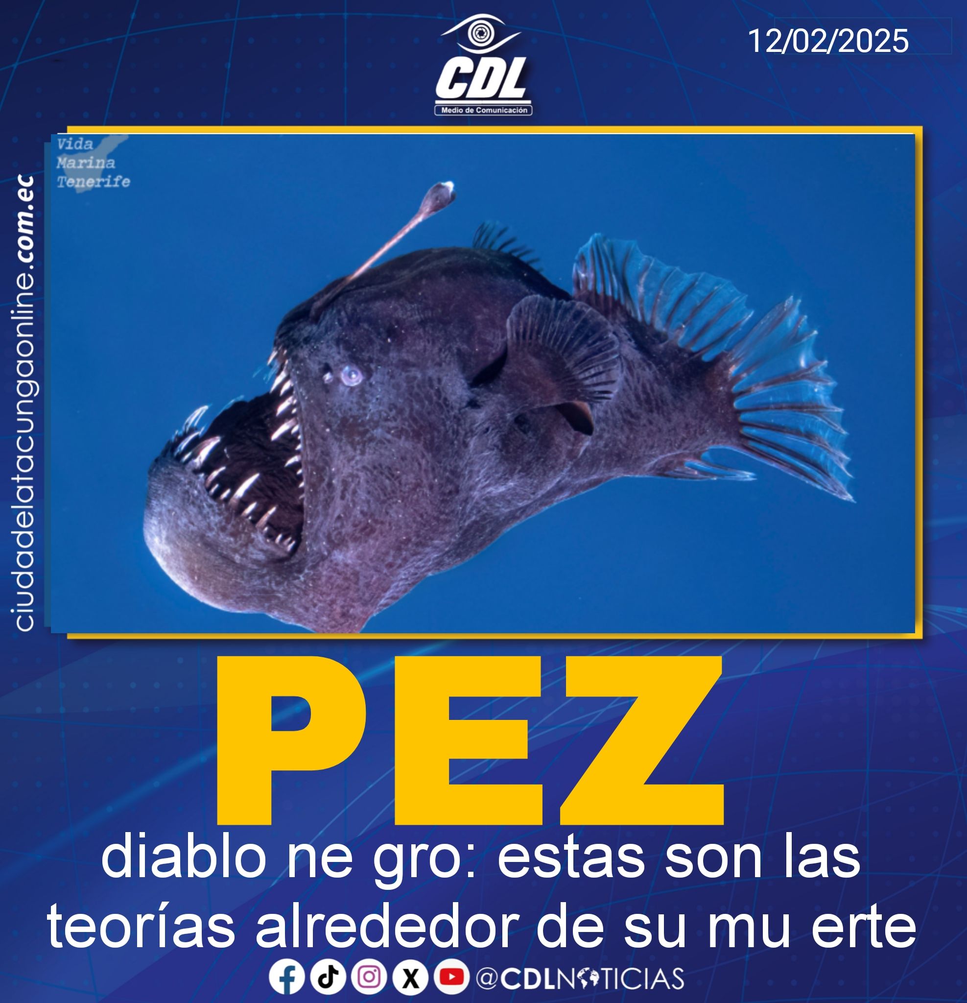 Pez diablo ne gro: estas son las teorías alrededor de su mu erte