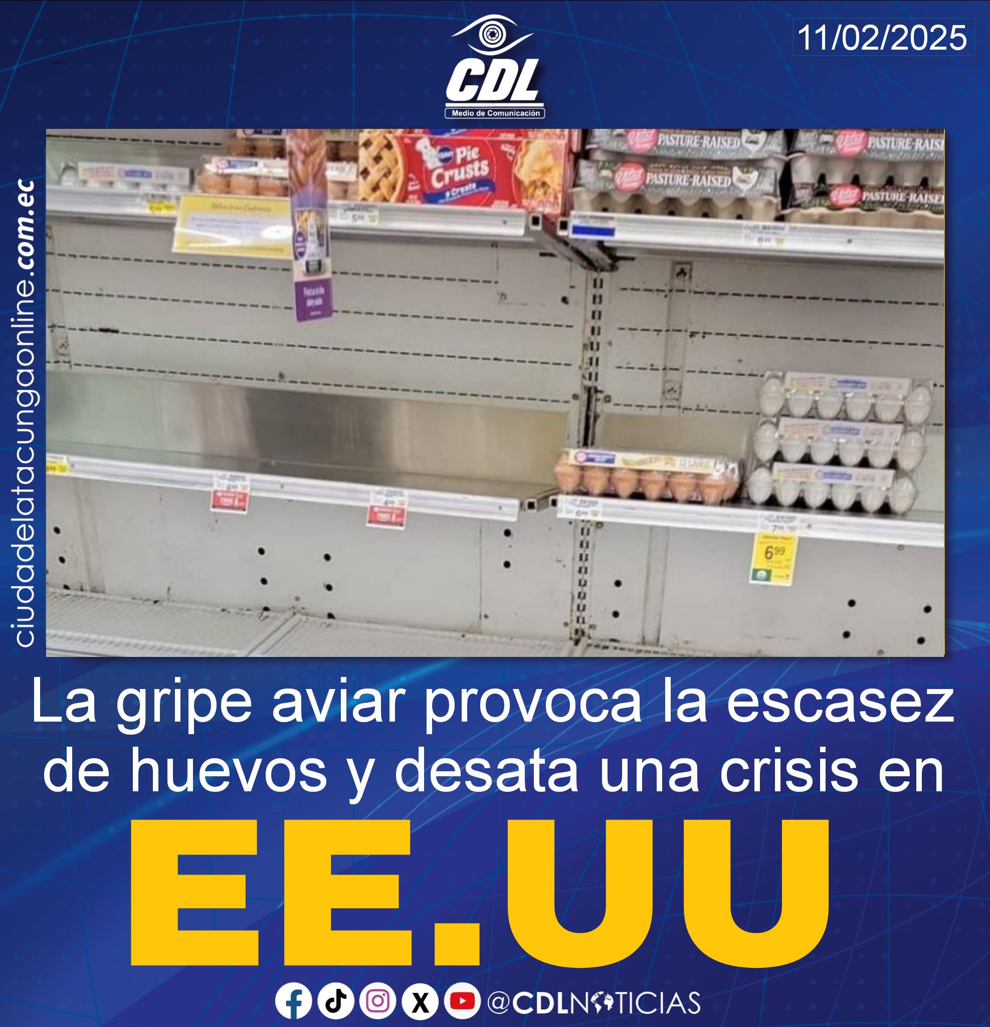 La gripe aviar provoca la escasez de huevos y desata una crisis en Estados Unidos