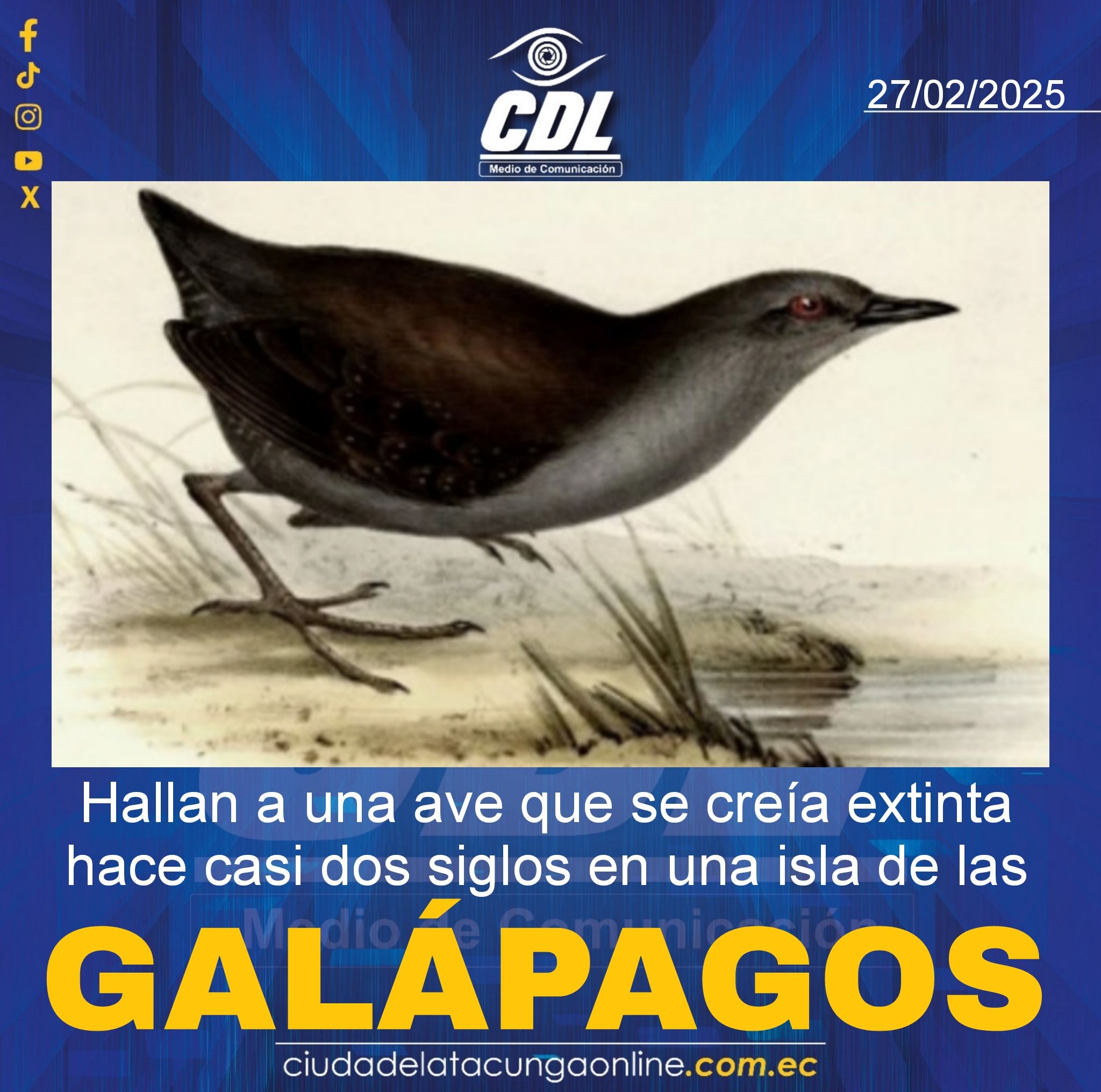 Hallan a una ave que se creía extinta hace casi dos siglos en una isla de las Galápagos