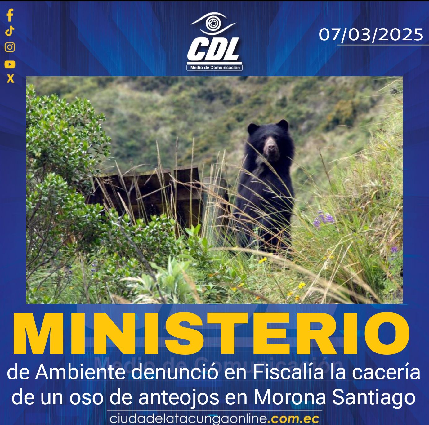 El Ministerio de Ambiente denunció en Fiscalía la cacería de un oso de anteojos en Morona Santiago