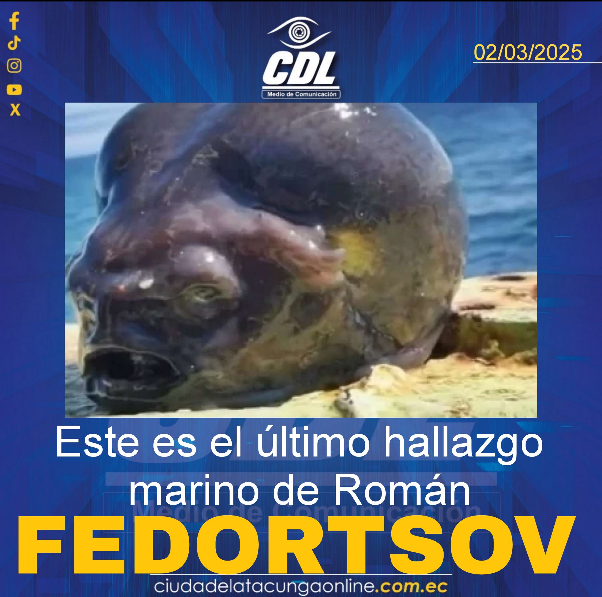Este es el último hallazgo marino de Román Fedortsov
