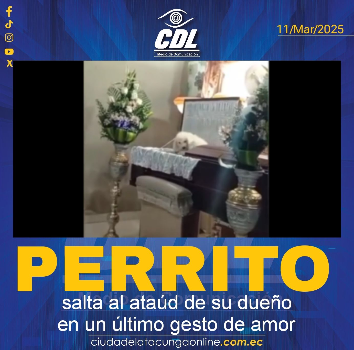 Conmovedor adiós: un perrito salta al ataúd de su dueño en un último gesto de amor