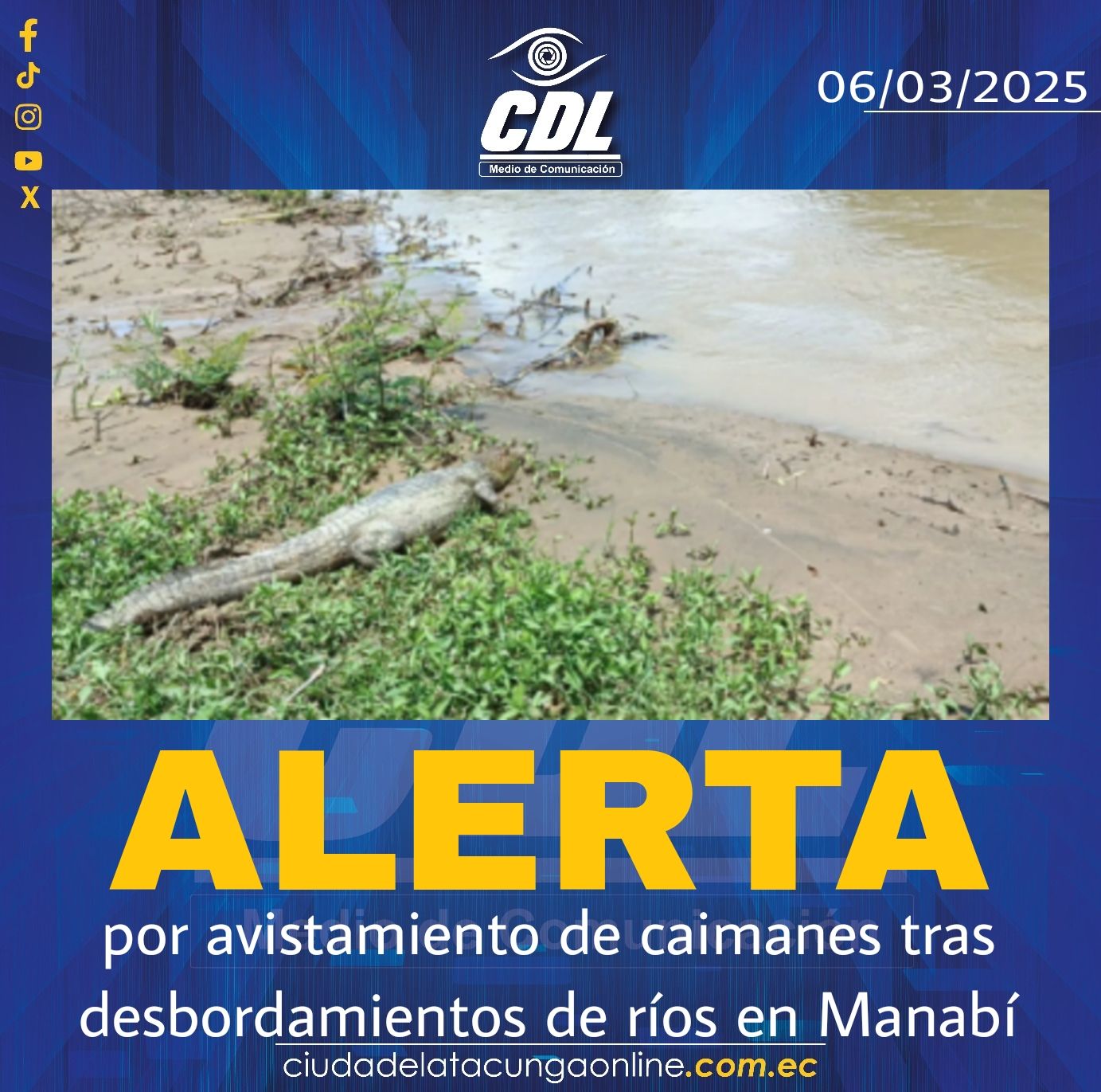 Alerta por avistamiento de caimanes tras desbordamientos de ríos en Manabí