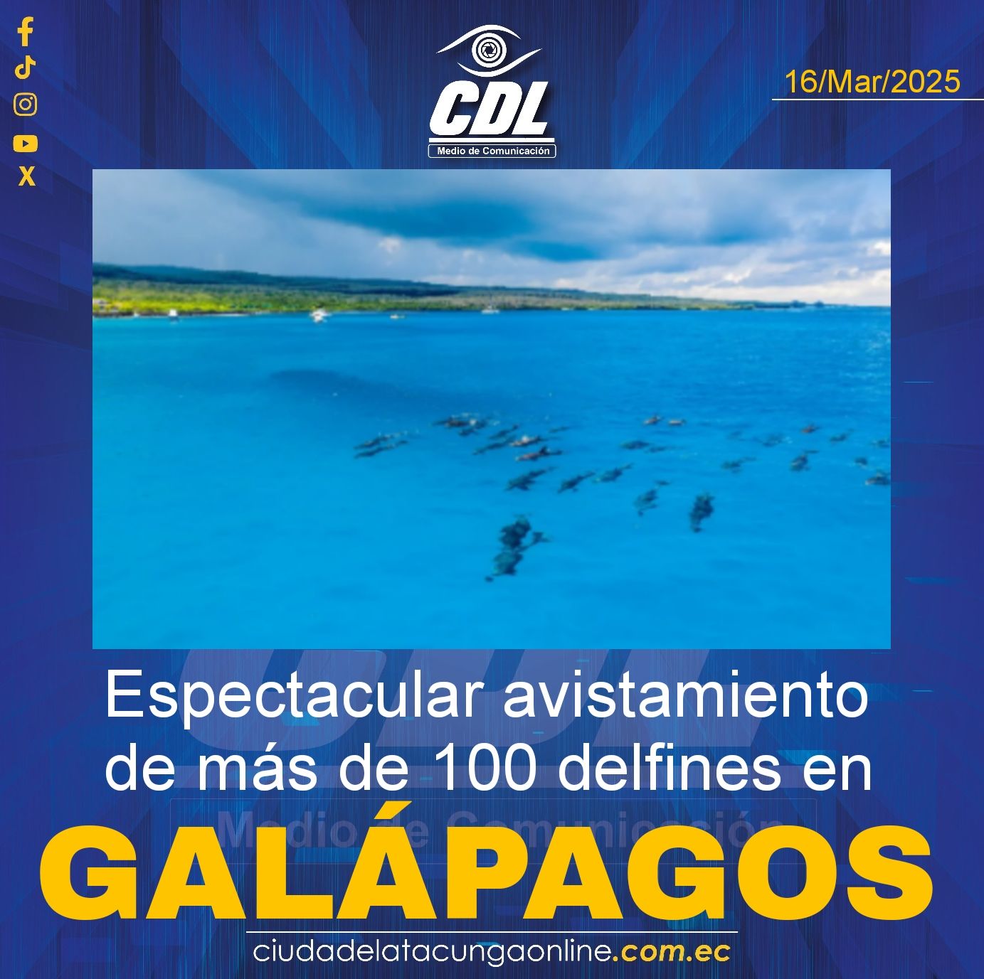 Espectacular avistamiento de más de 100 delfines en Galápagos