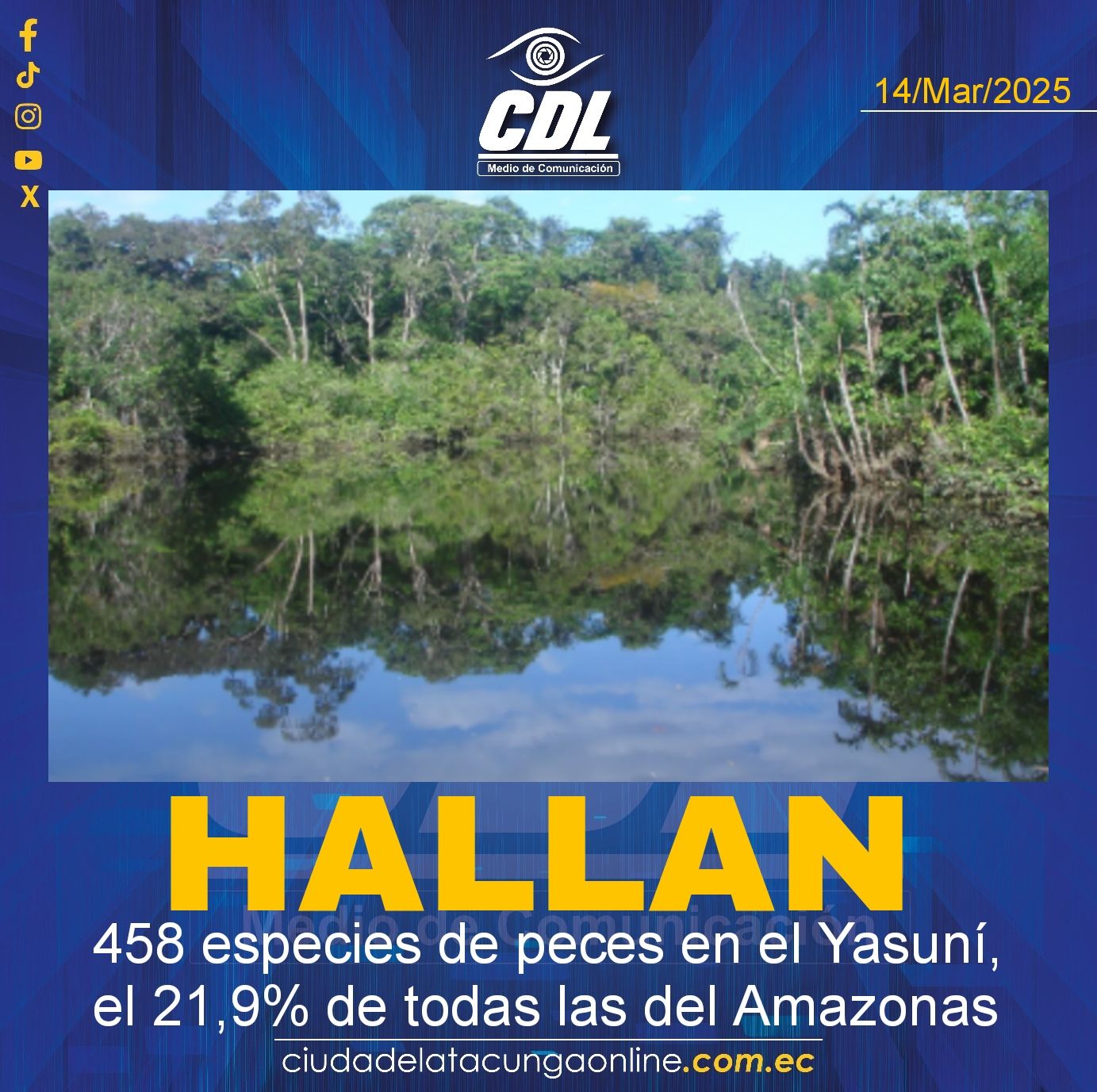Hallan 458 especies de peces en el Yasuní, el 21,9% de todas las del Amazonas