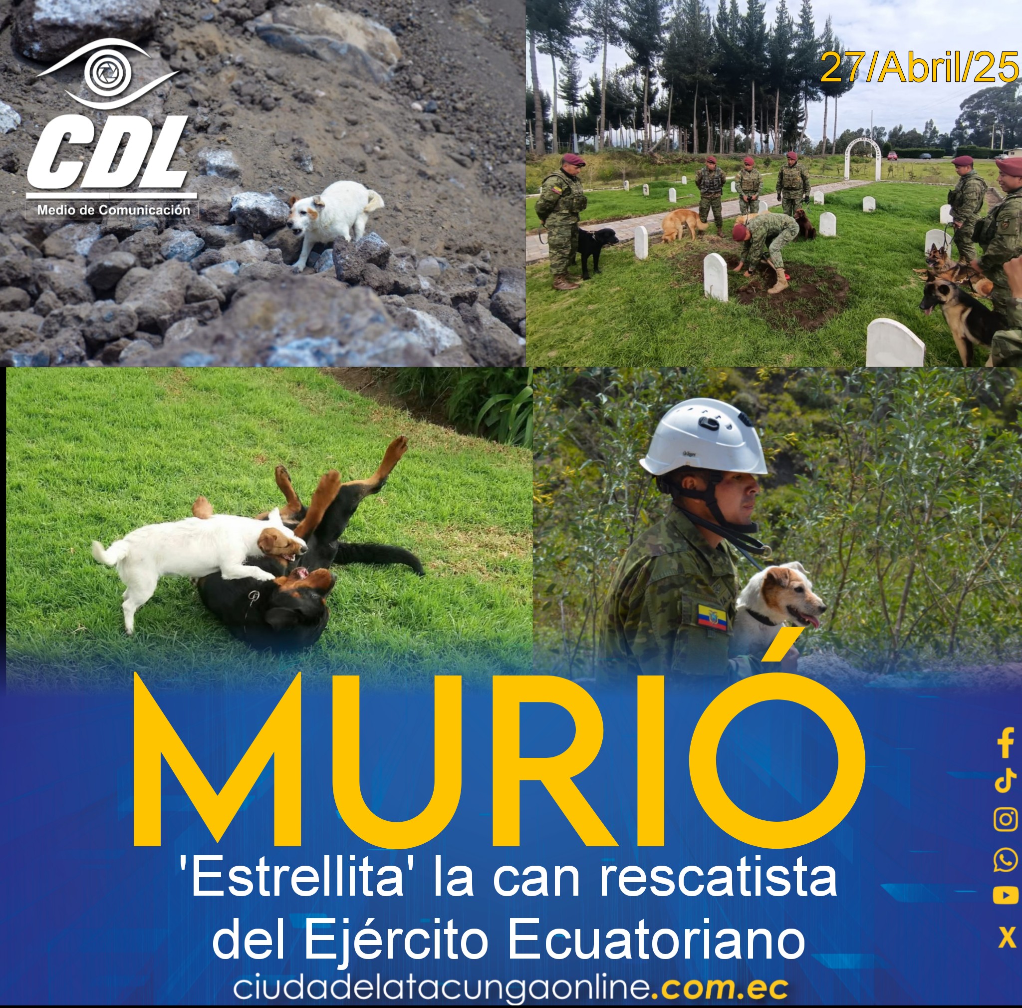Murió ‘Estrellita’ la can rescatista del Ejército Ecuatoriano