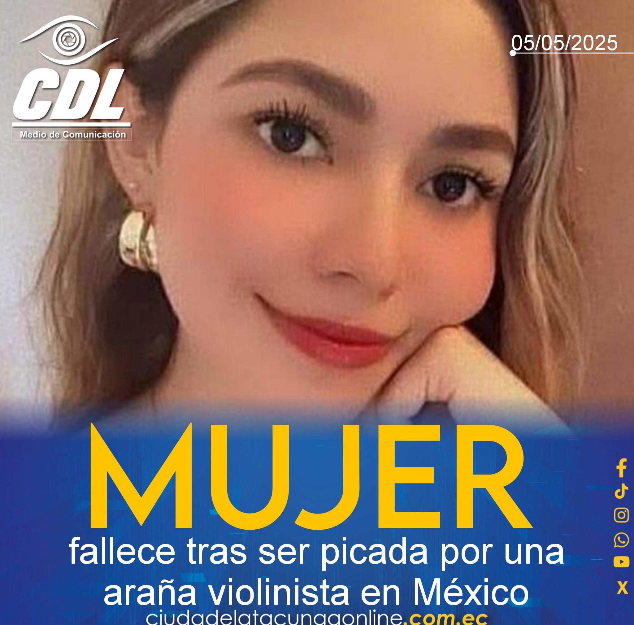 Mujer fallece tras ser picada por una araña violinista en México