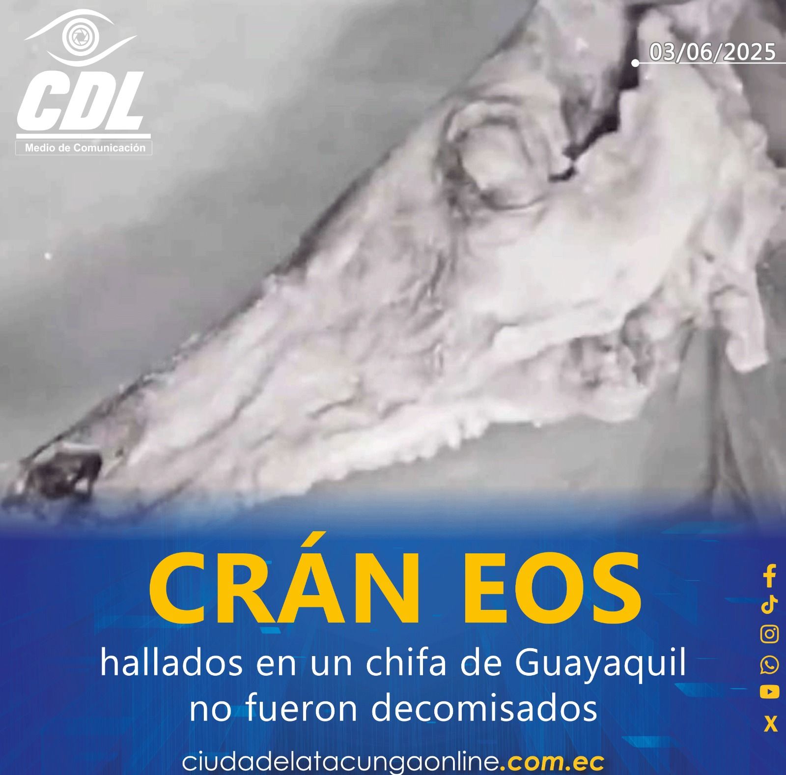 Los cráneos hallados en un chifa de Guayaquil no fueron decomisados: Arcsa explica la razón