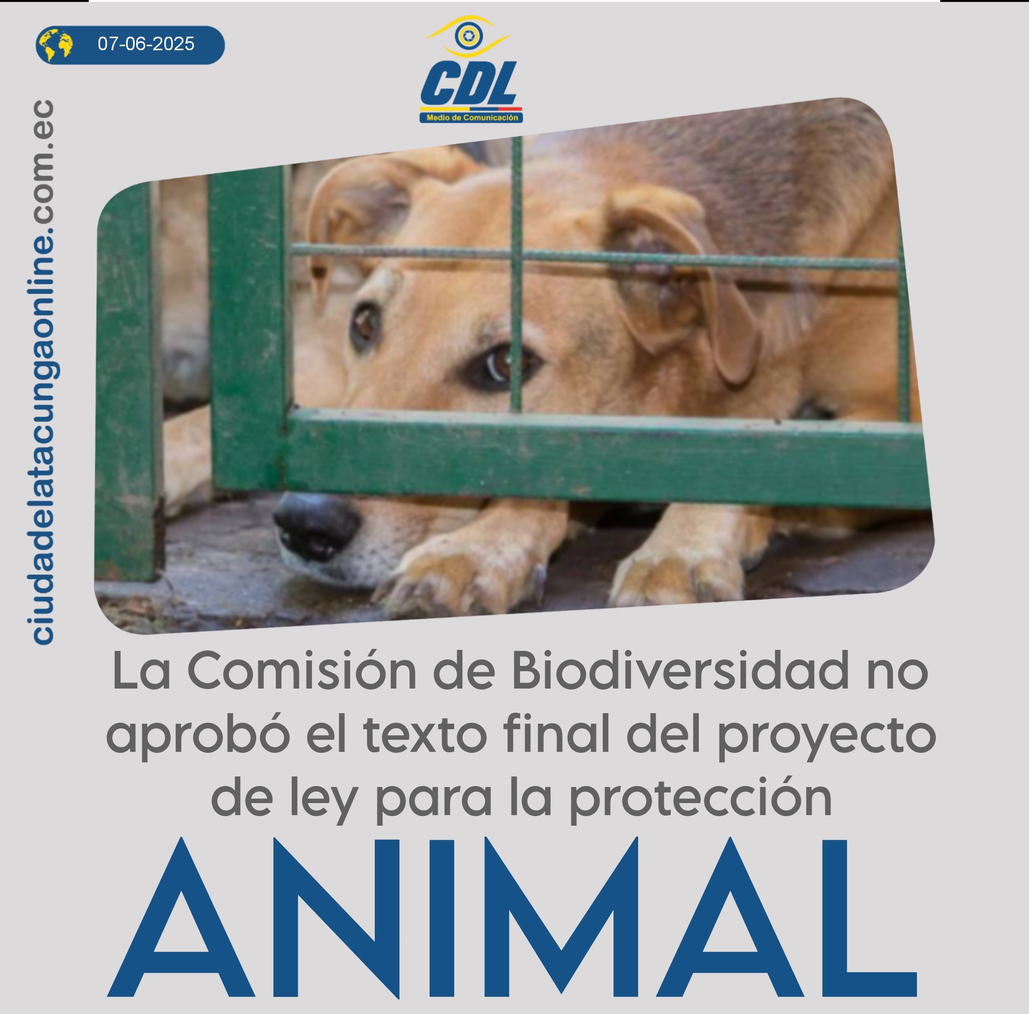 La Comisión de Biodiversidad no aprobó el texto final del proyecto de ley para la protección animal
