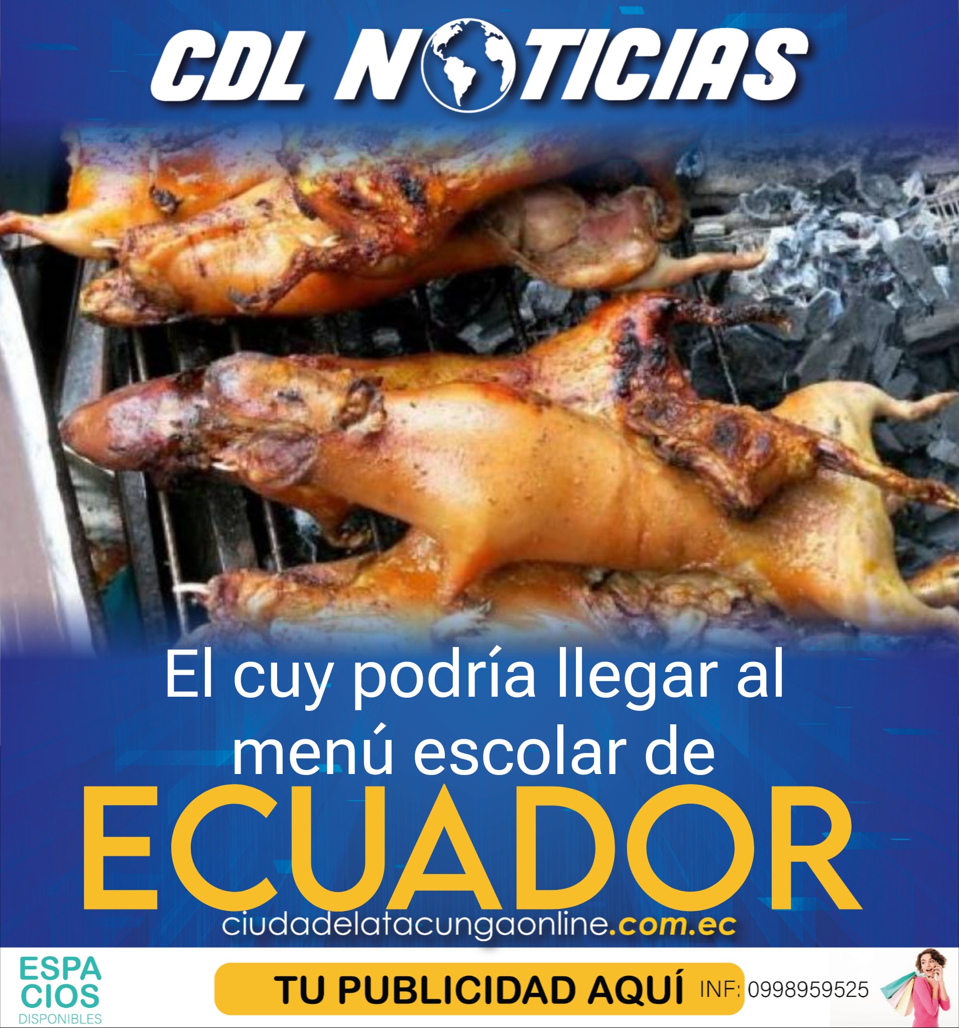 El cuy podría llegar al menú escolar de Ecuador