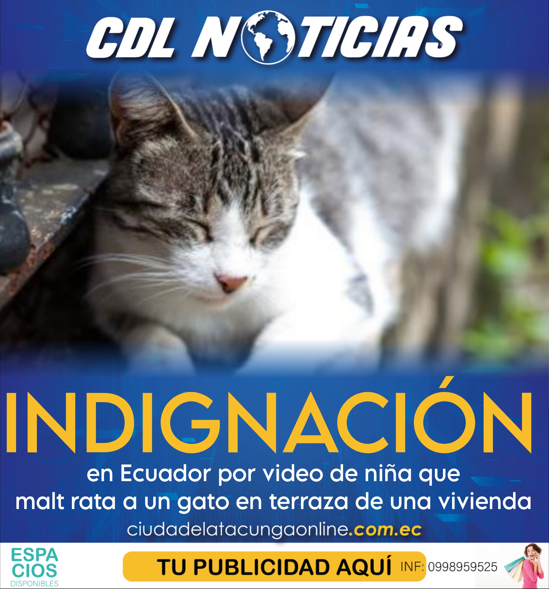 Indignación en Ecuador por video de niña que malt rata a un gato en terraza de una vivienda