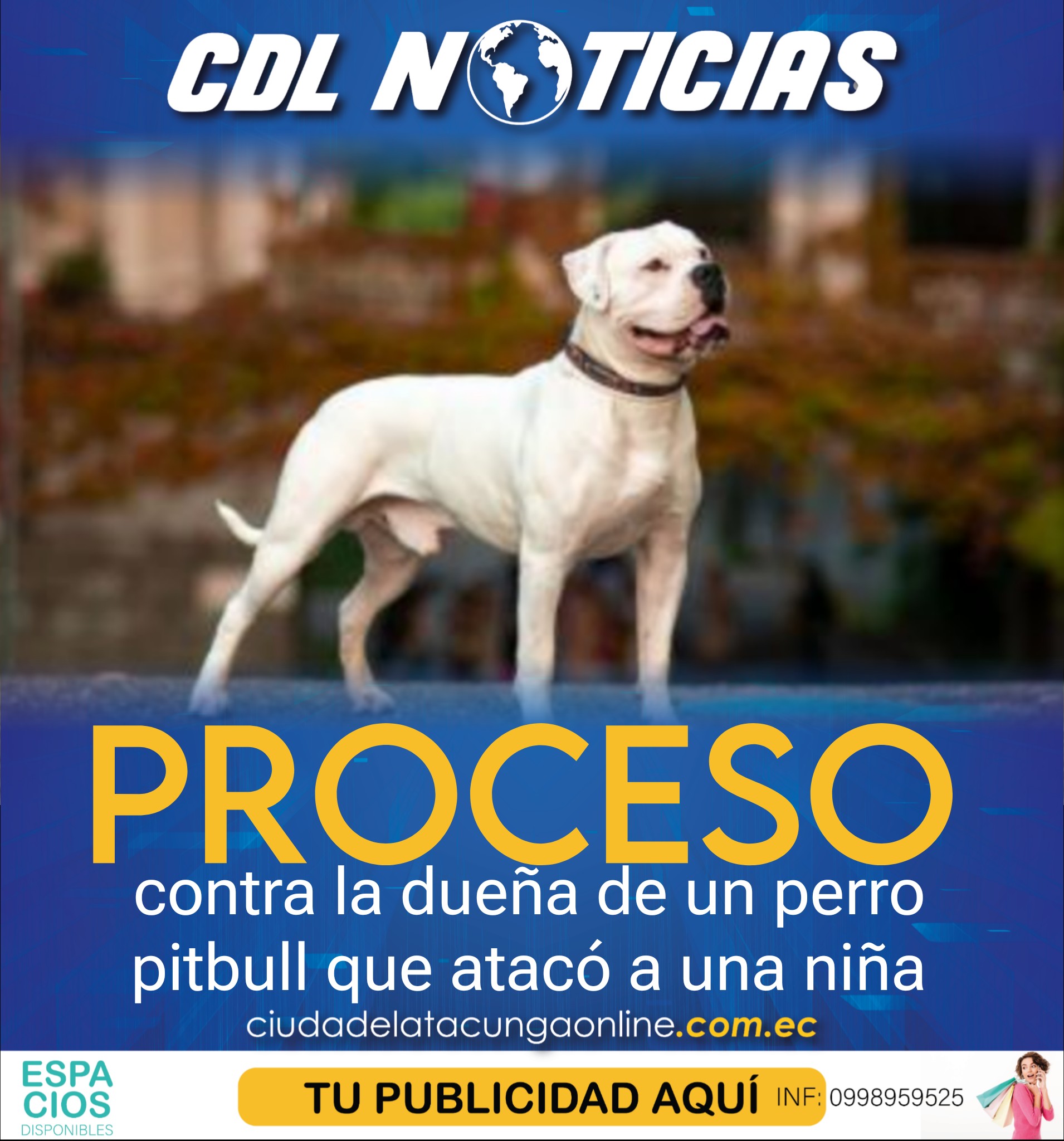 Proceso contra la dueña de un perro pitbull que atacó a una niña