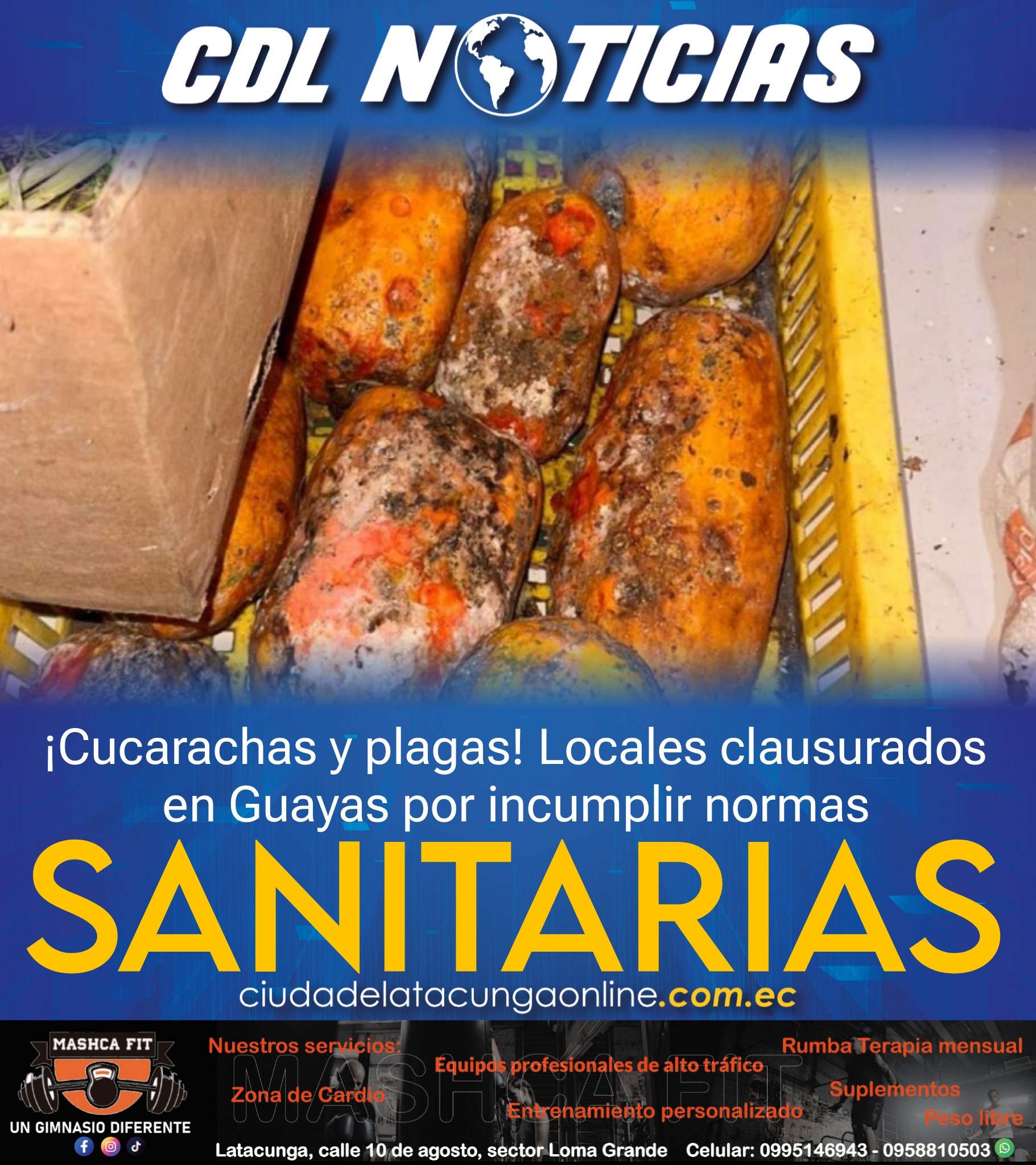 ¡Cucarachas y plagas! Locales clausurados en Guayas por incumplir normas sanitarias