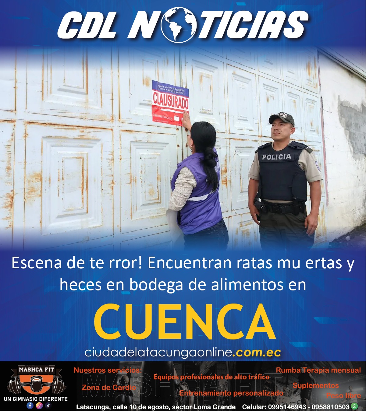 Escena de terror! Encuentran ratas muertas y heces en bodega de alimentos en Cuenca