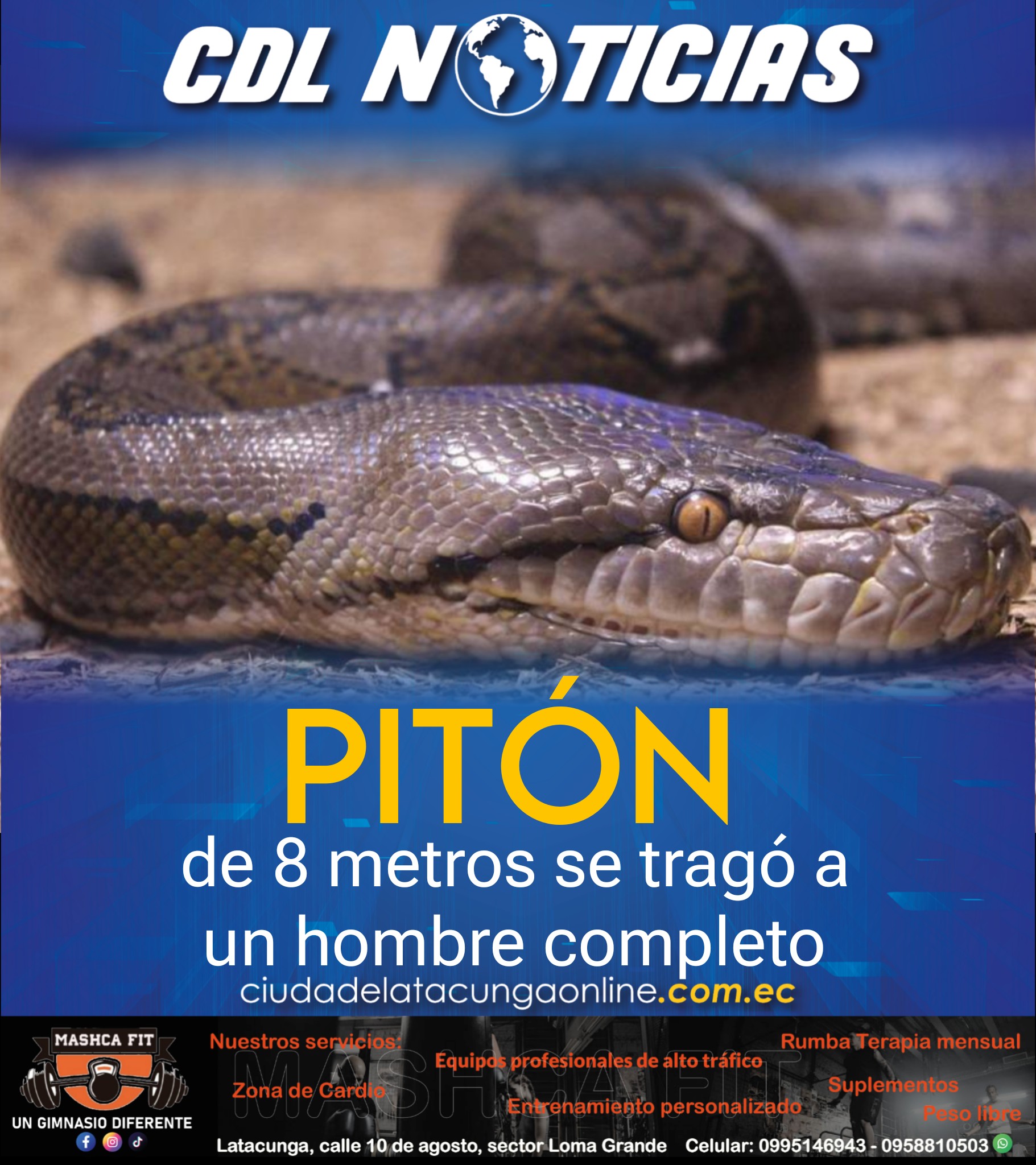 Una pitón de 8 metros se tragó a un hombre completo