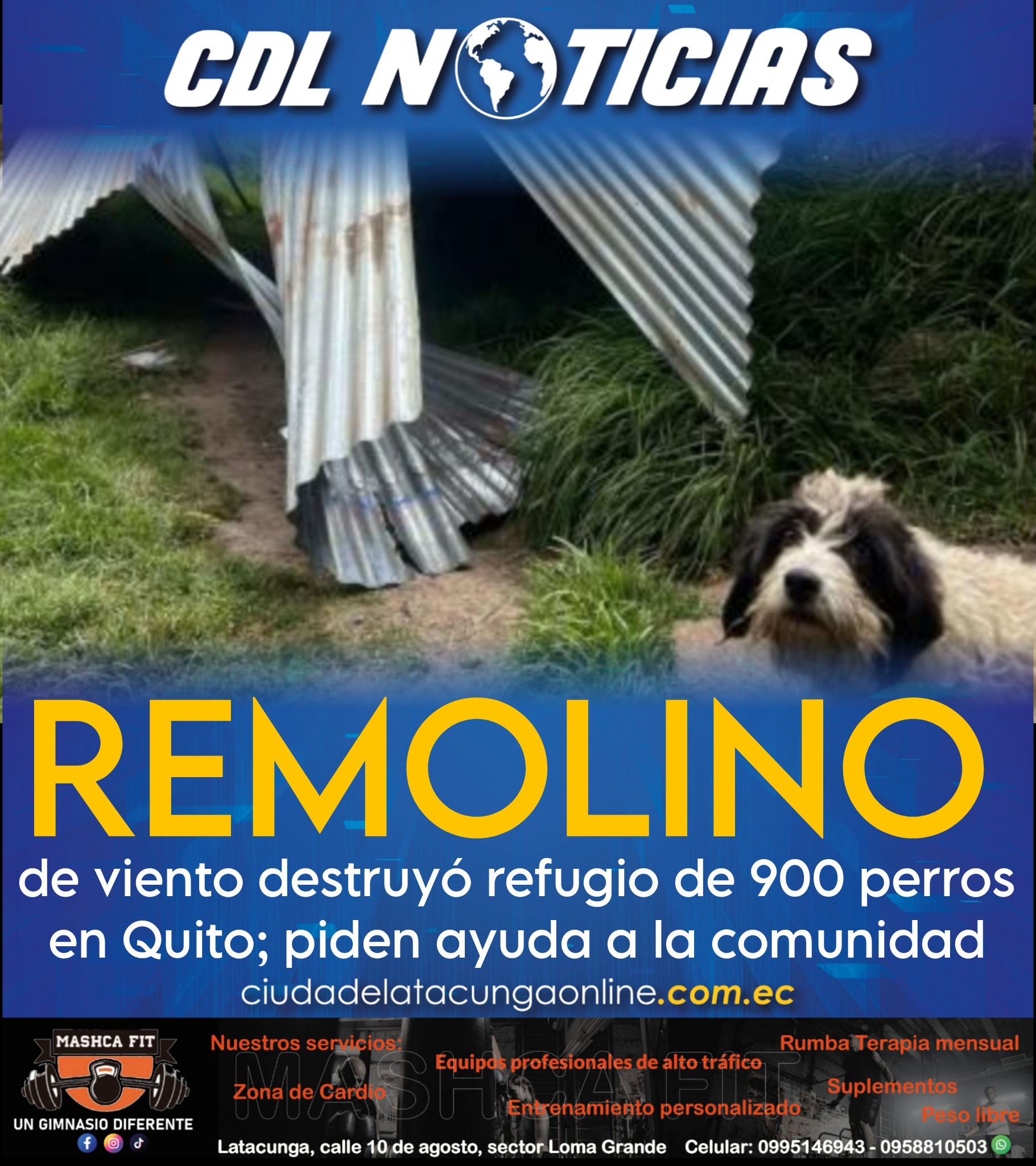 Remolino de viento destruyó refugio de 900 perros en Quito; piden ayuda a la comunidad
