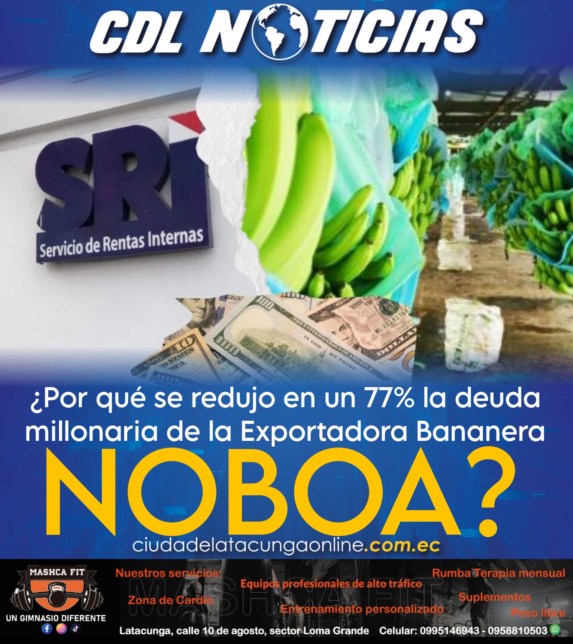 ¿Por qué se redujo en un 77% la deuda millonaria de la Exportadora Bananera Noboa?