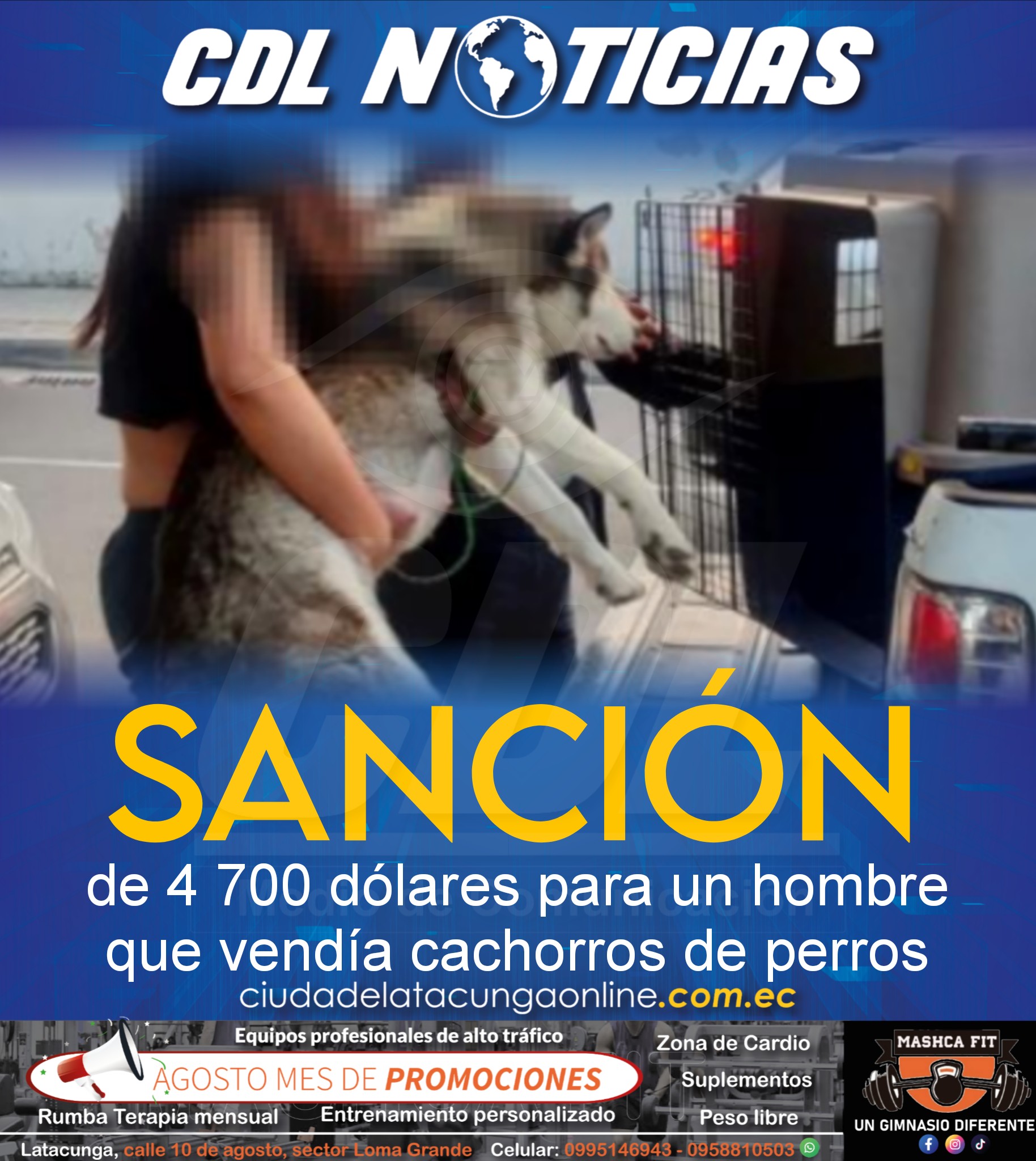 Sanción de 4 700 dólares para un hombre que vendía cachorros de perros