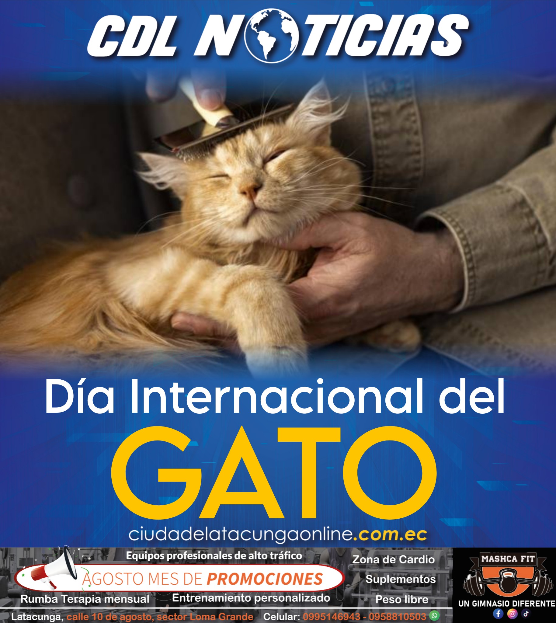 Día Internacional del Gato