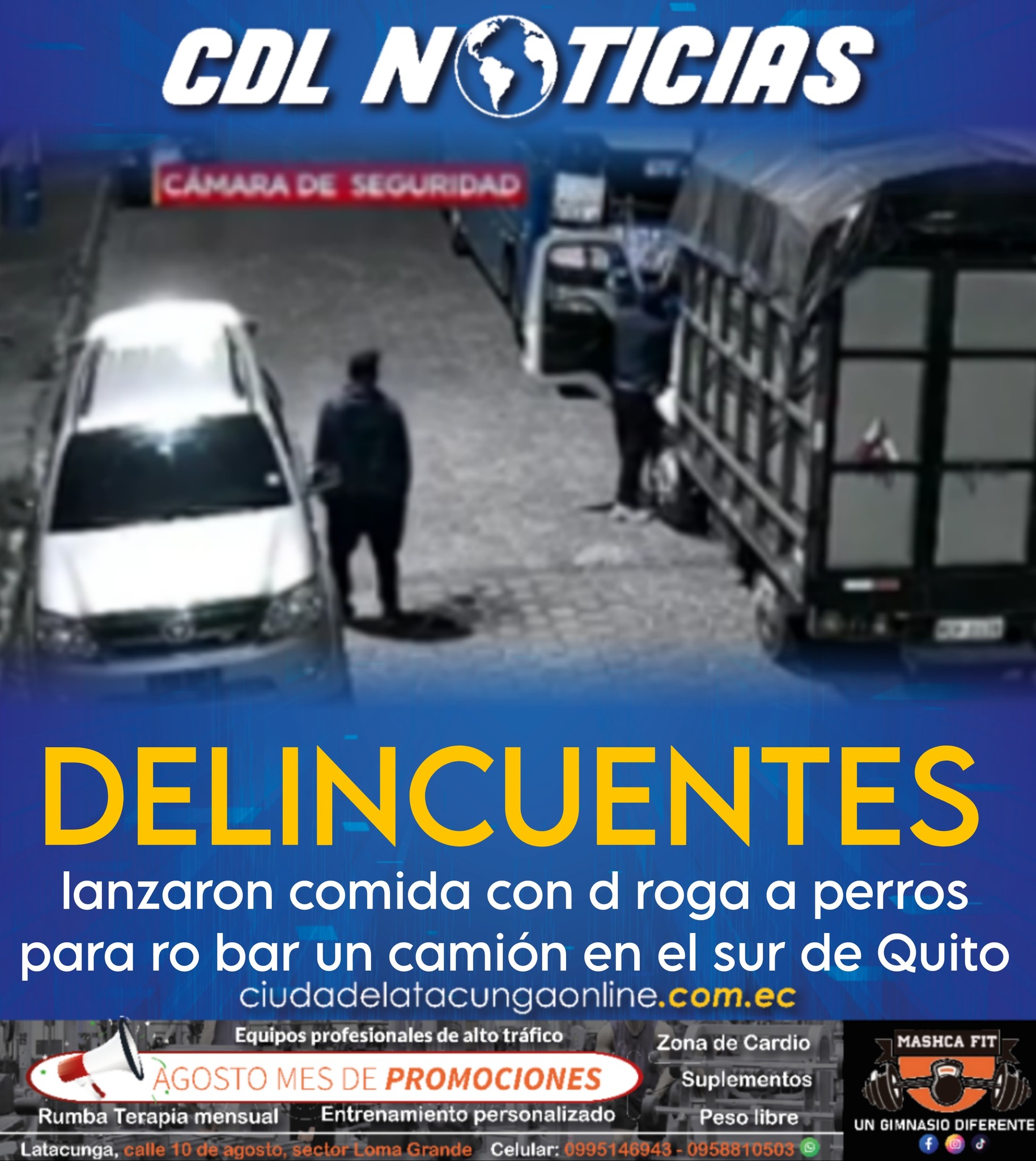 Delincuentes lanzaron comida con d roga a perros para ro bar un camión en el sur de Quito