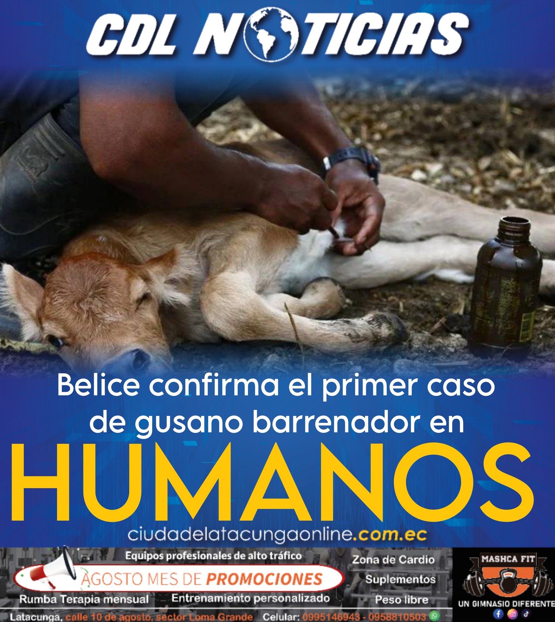 Belice confirma el primer caso de gusano barrenador en humanos