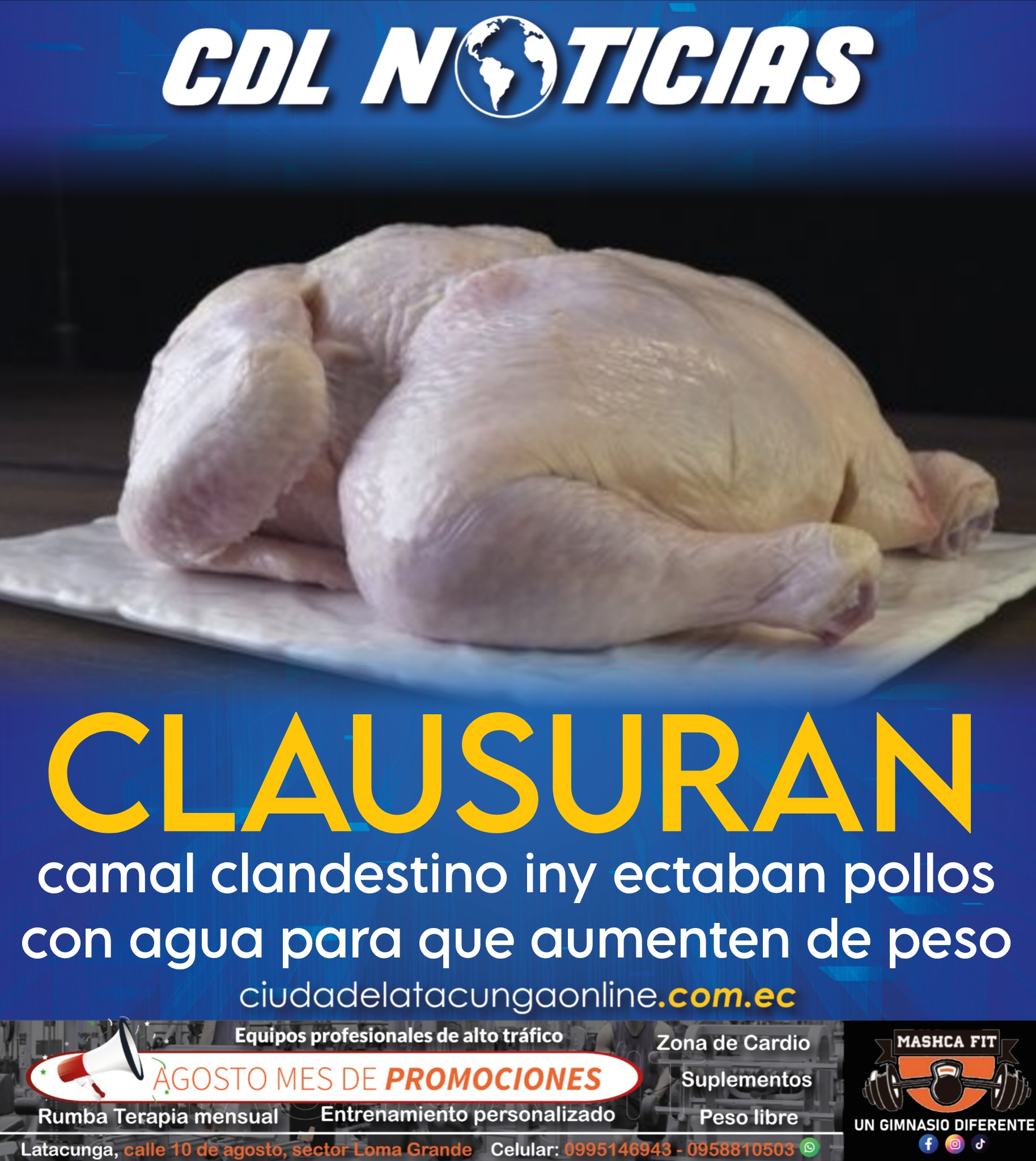 Clausuran camal clandestino iny ectaban pollos con agua para que aumenten de peso