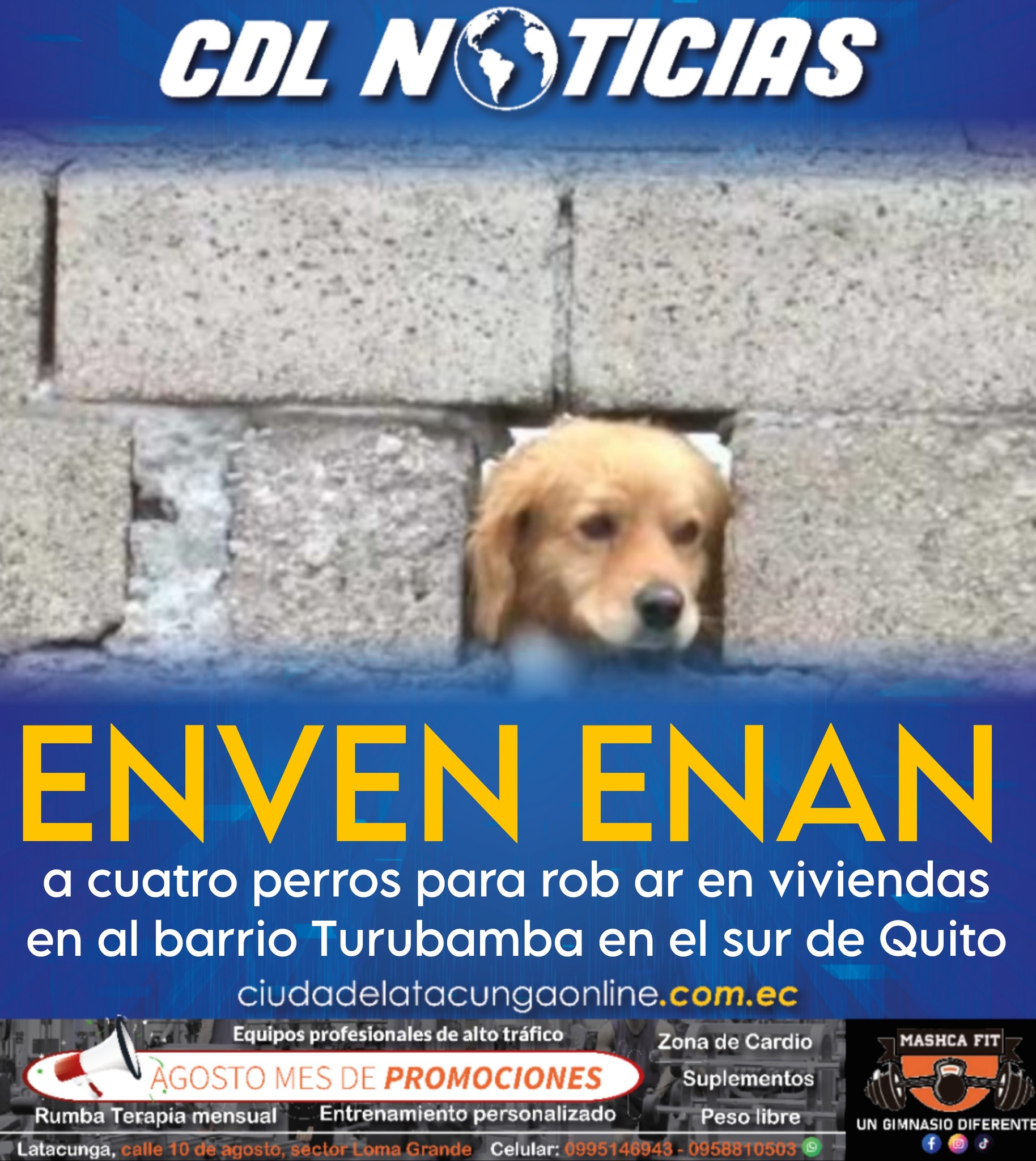 Enve nenan a cuatro perros para rob ar en viviendas en al barrio Turubamba en el sur de Quito