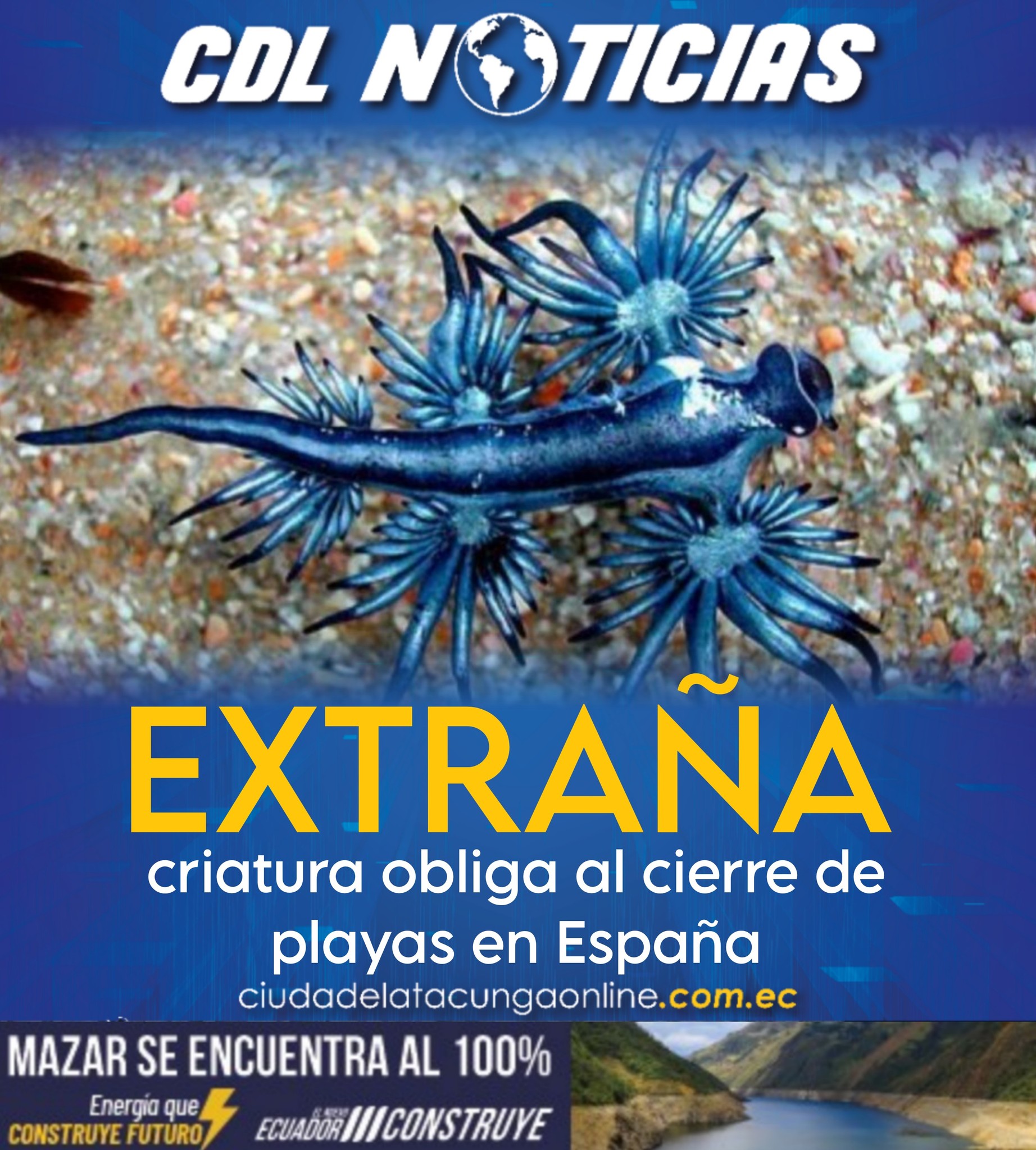 Extraña criatura obliga al cierre de playas en España