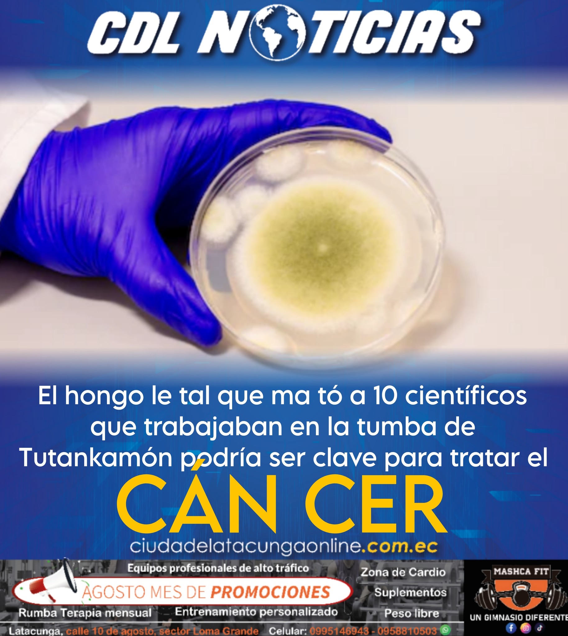 El hongo le tal que ma tó a 10 científicos que trabajaban en la tumba de Tutankamón podría ser clave para tratar el cáncer