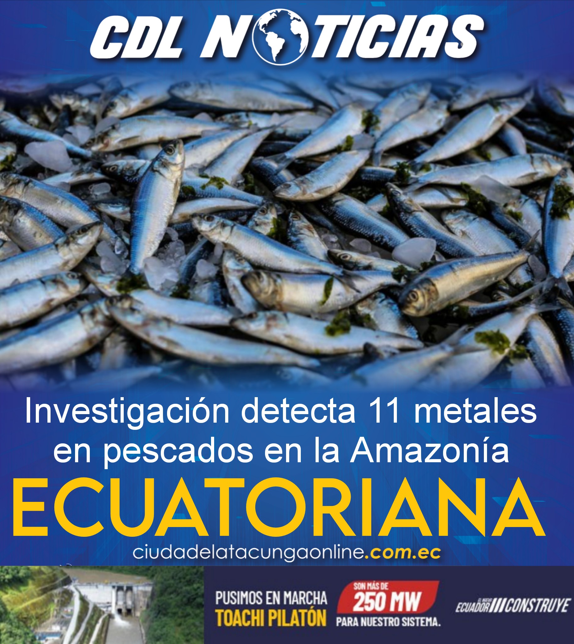 Una investigación detecta 11 metales en pescados en la Amazonía ecuatoriana