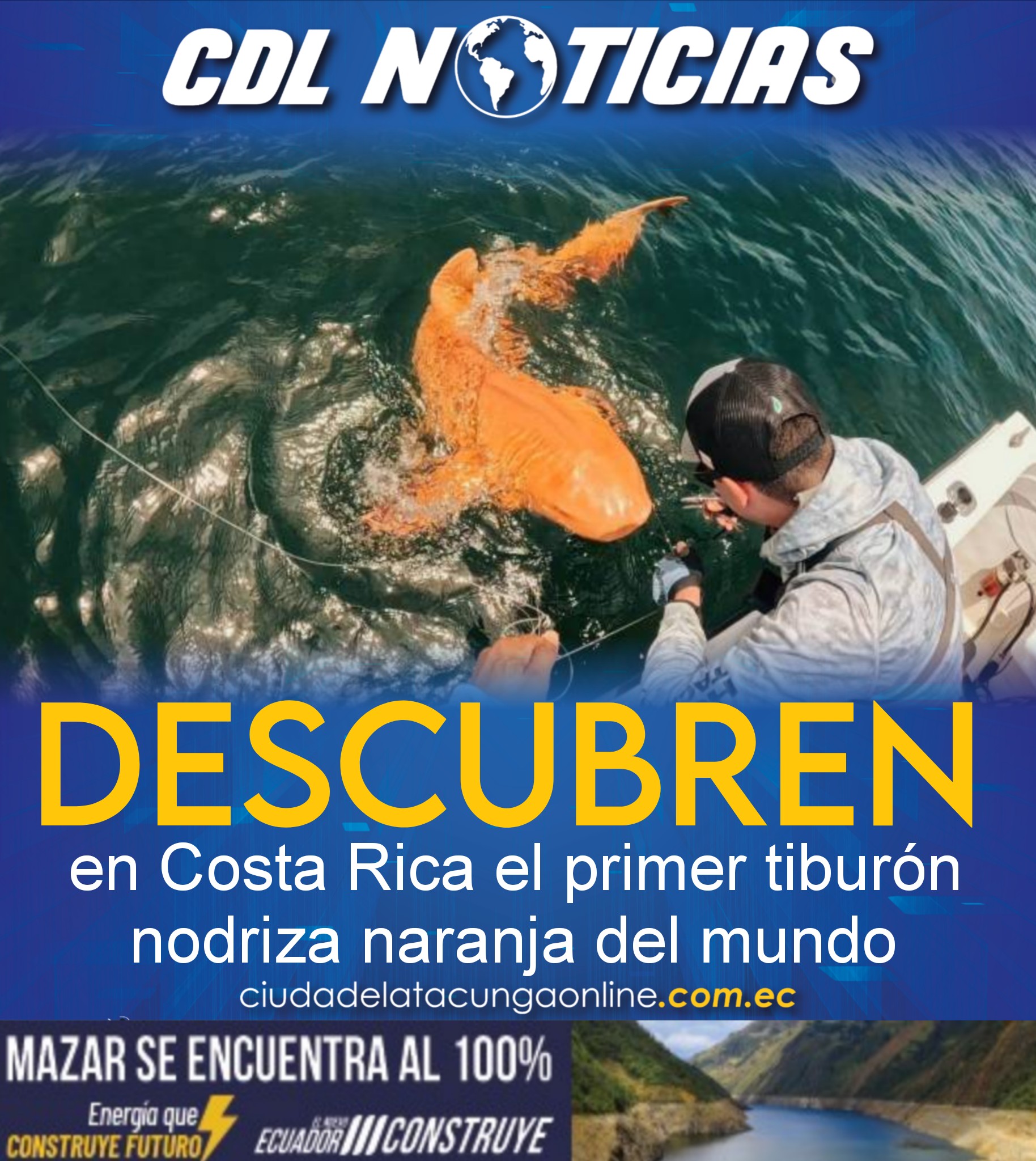 Descubren en Costa Rica el primer tiburón nodriza naranja del mundo