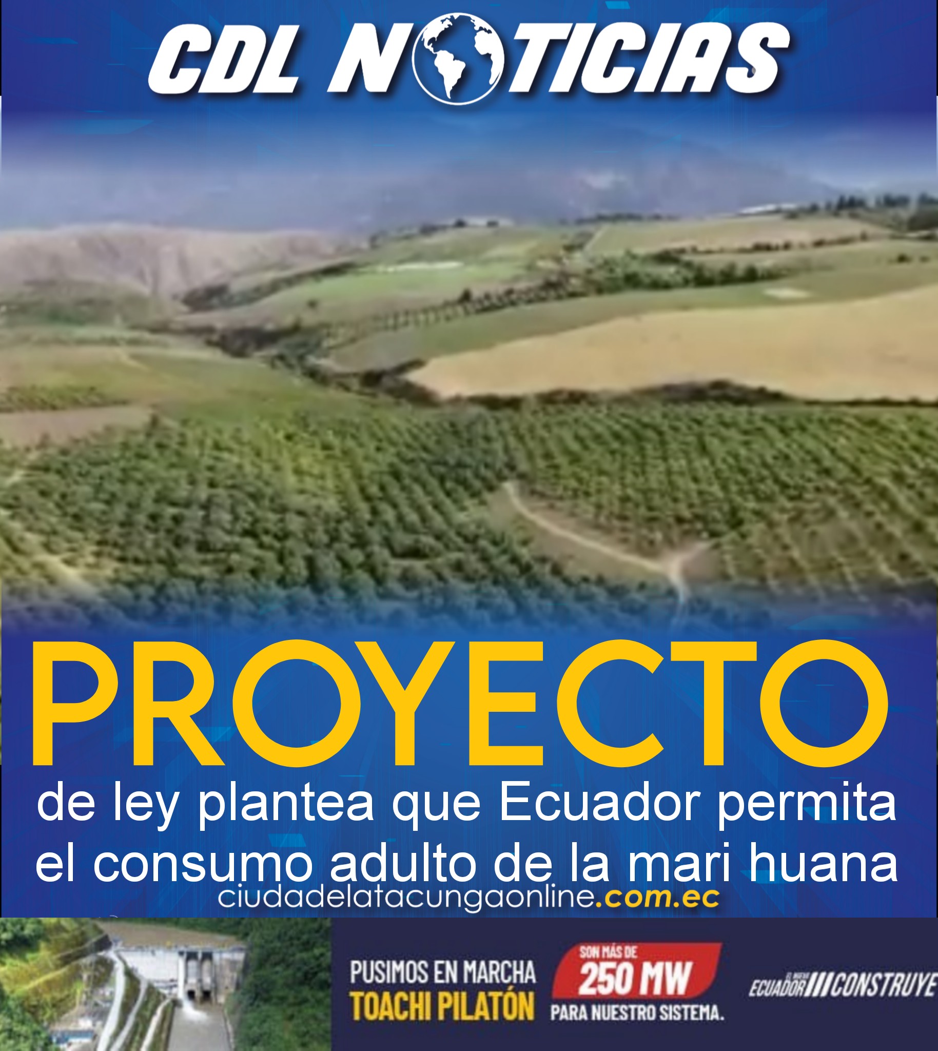 Un proyecto de ley plantea que Ecuador permita el consumo adulto de la mari huana