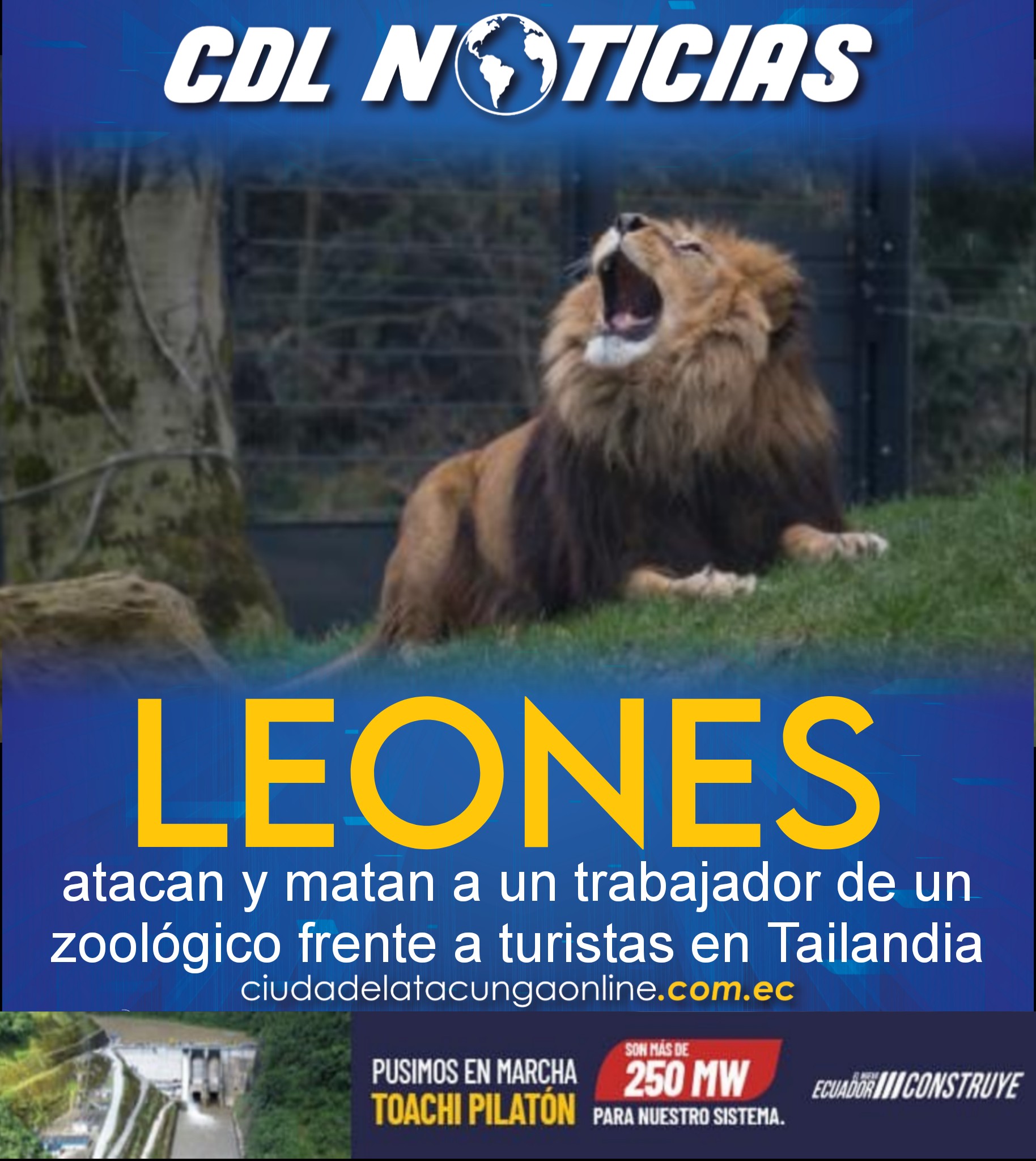 Leones atacan y matan a un trabajador de un zoológico frente a turistas en Tailandia