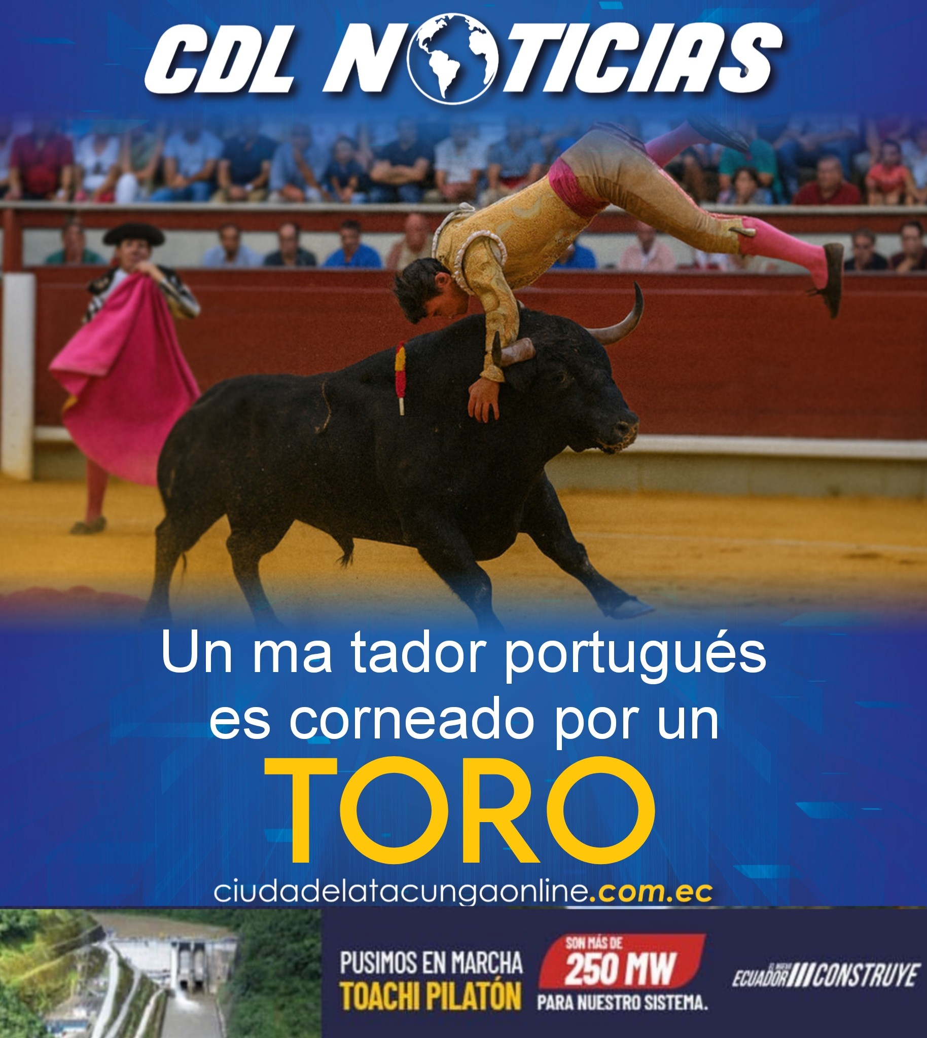 Un ma tador portugués es corneado por un toro