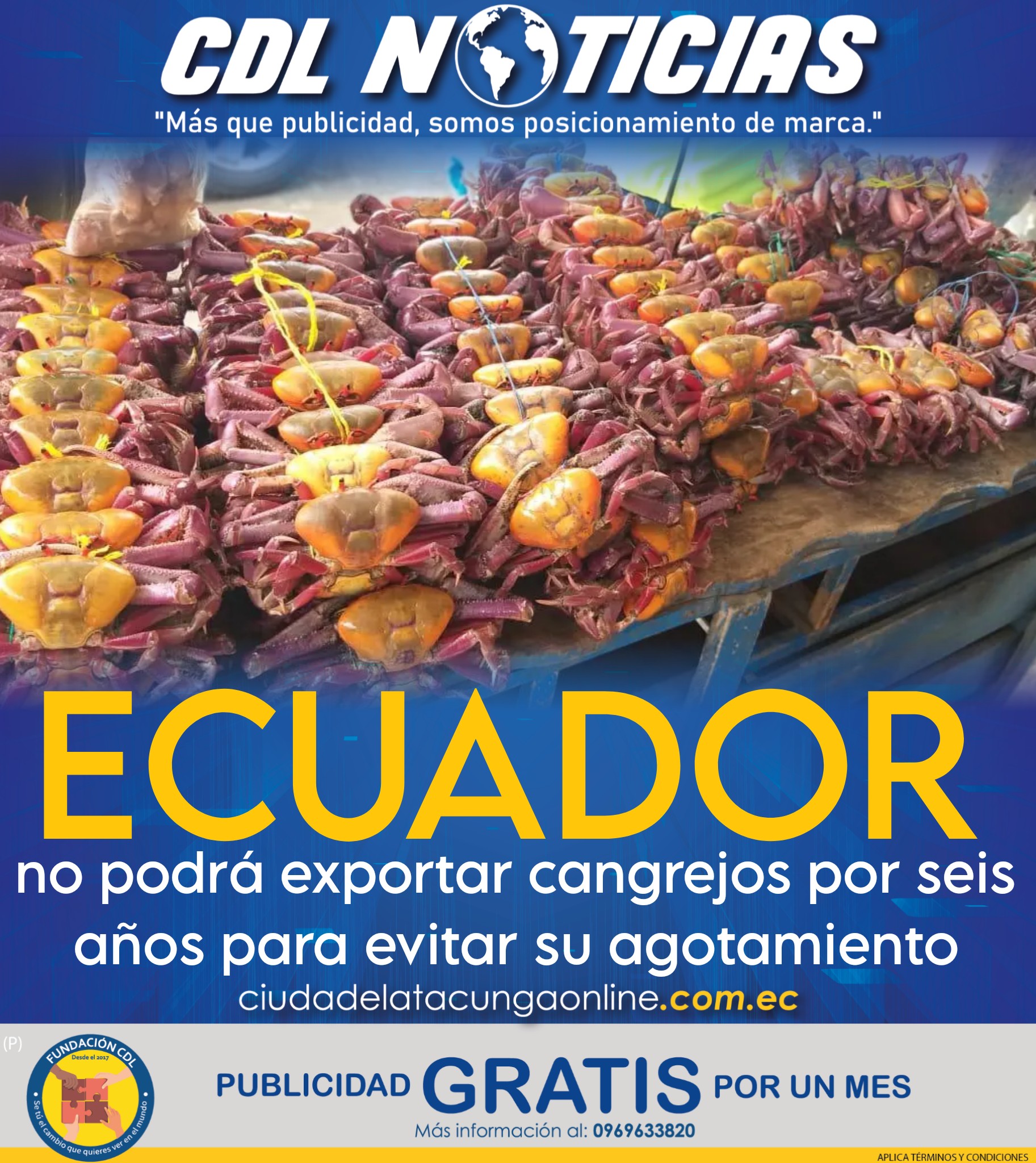 Ecuador no podrá exportar cangrejos por seis años para evitar su agotamiento