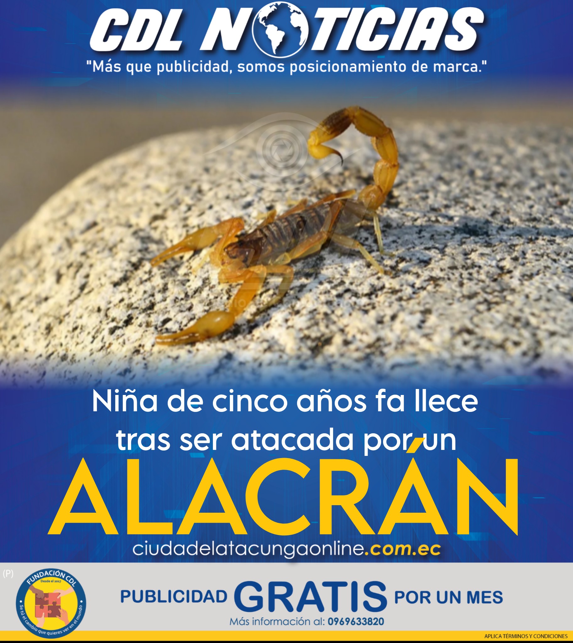 Niña de cinco años fallece tras ser atacada por un alacrán