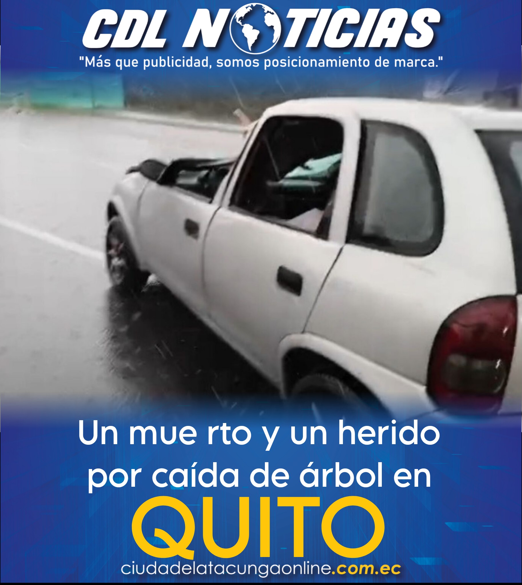Un mue rto y un herido por caída de árbol en Quito