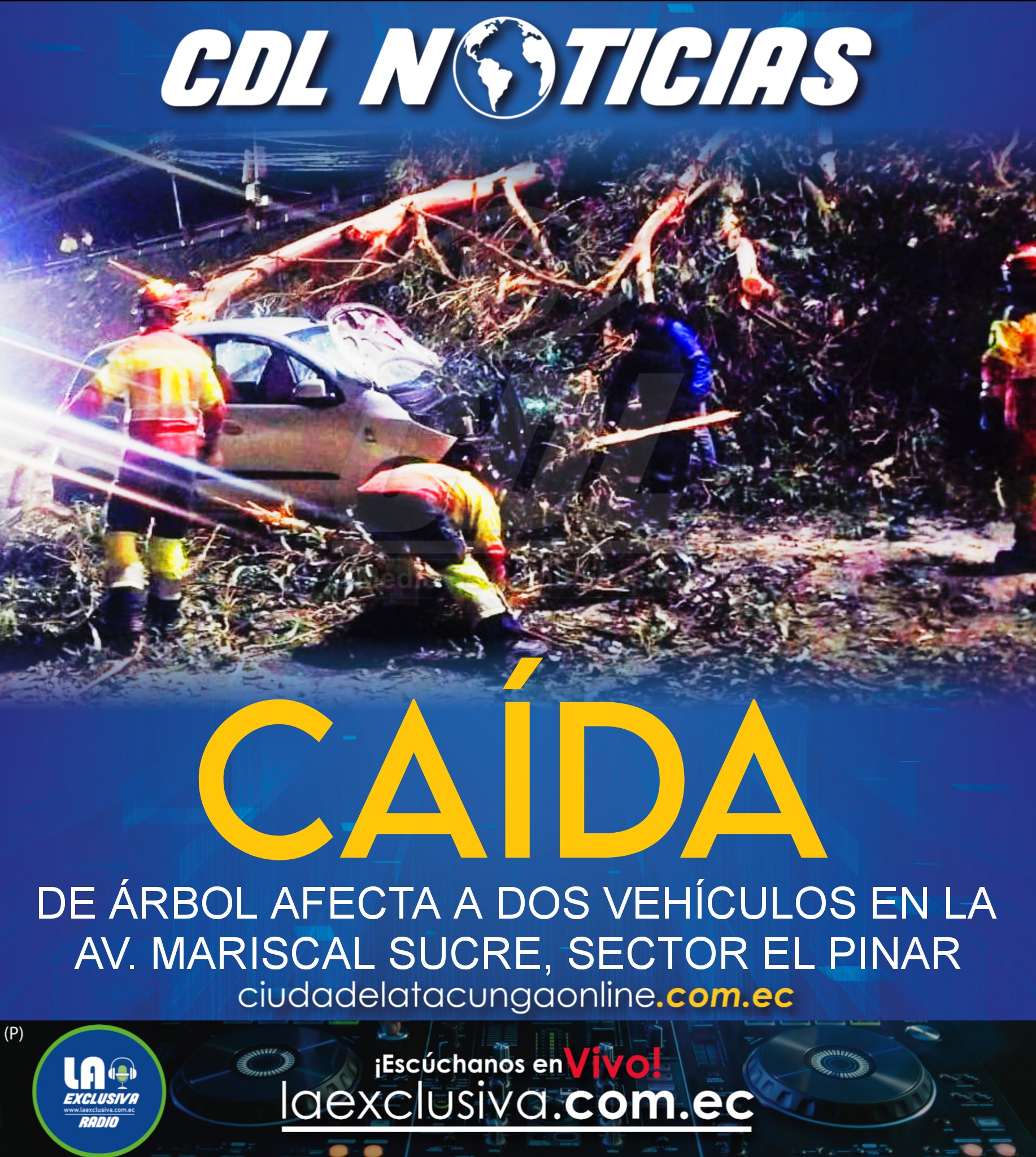 CAÍDA DE ÁRBOL AFECTA A DOS VEHÍCULOS EN LA AV. MARISCAL SUCRE, SECTOR EL PINAR