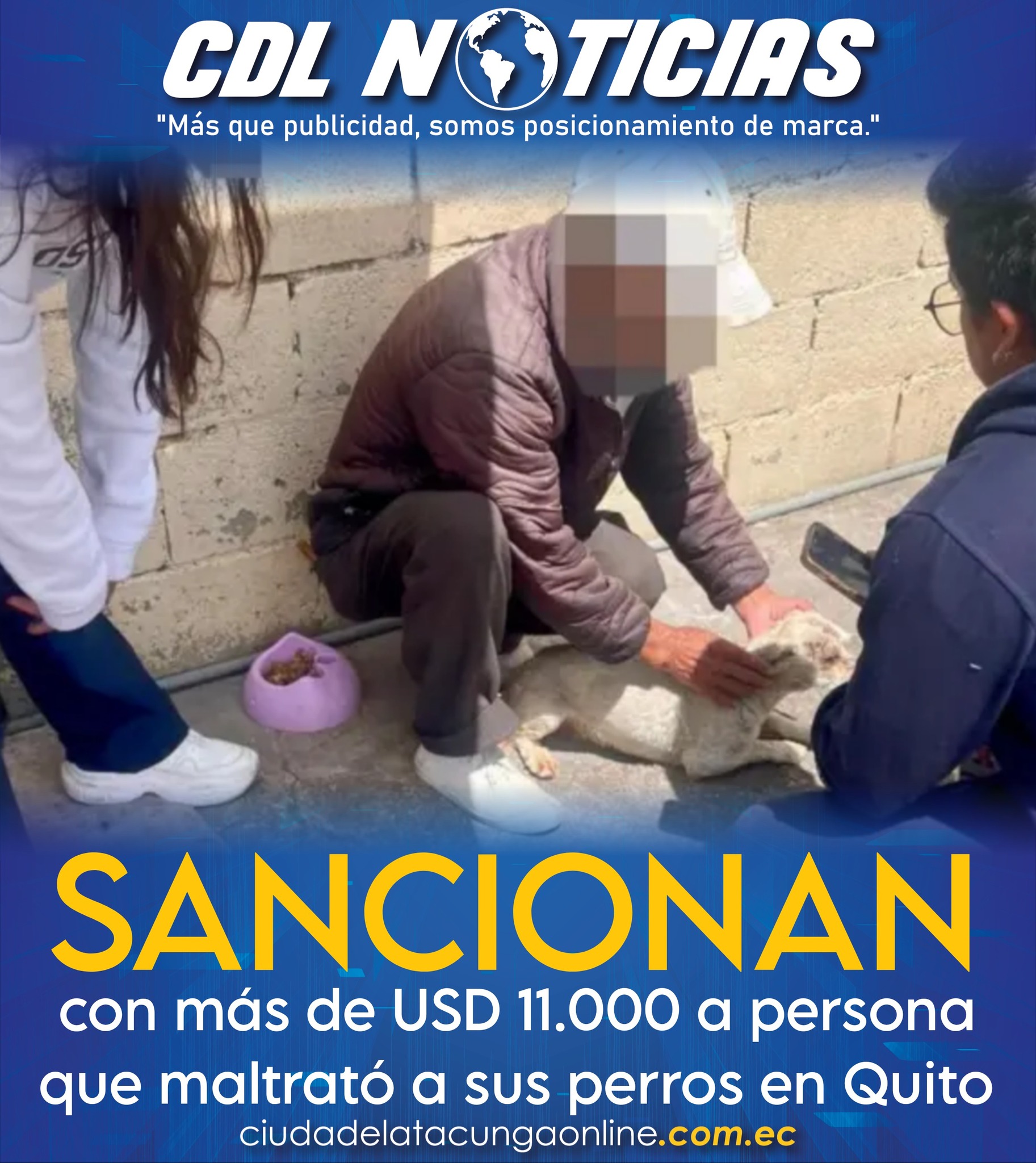 Sancionan con más de USD 11.000 a persona que maltrató a sus perros en Quito