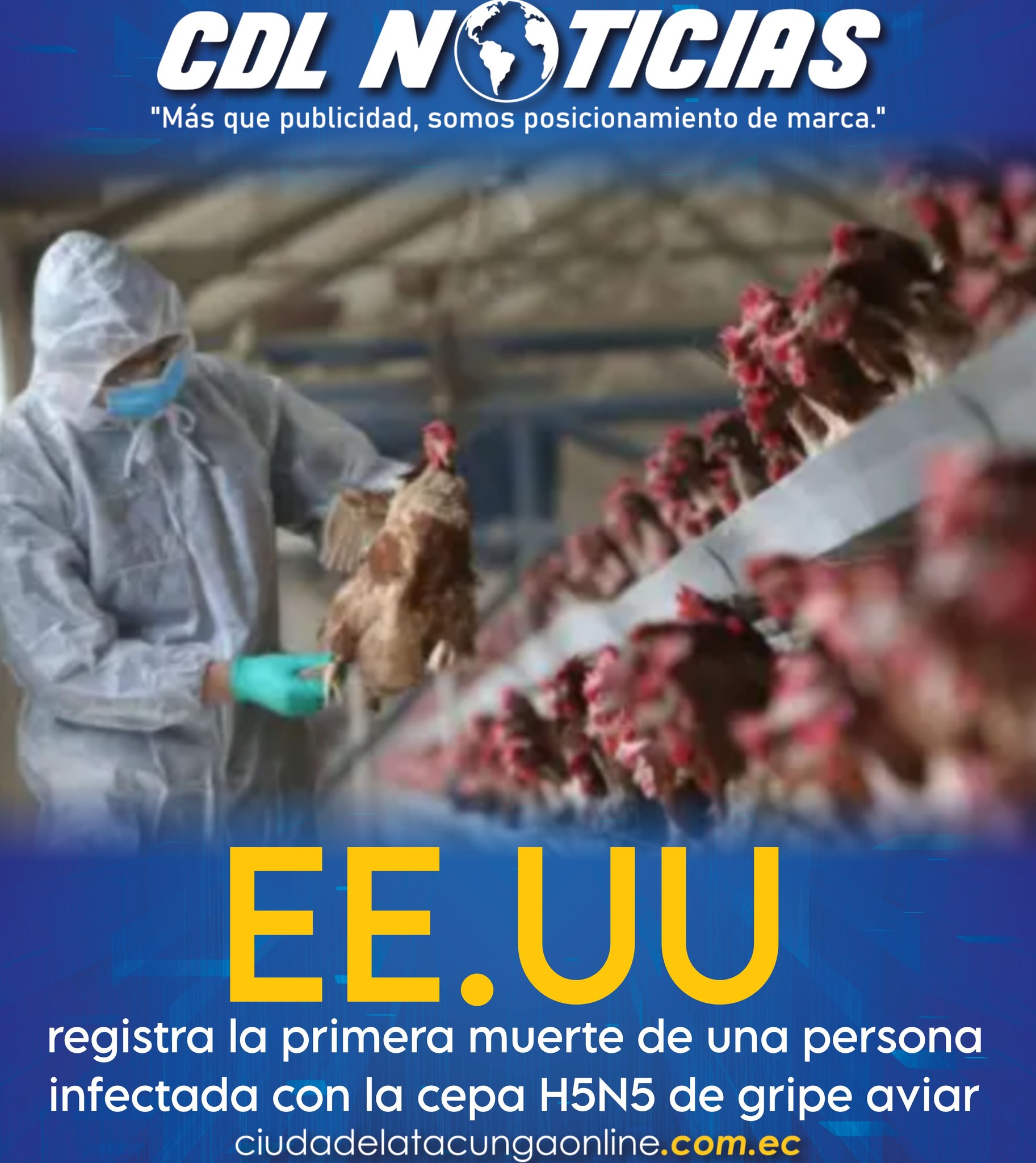 EE.UU. registra la primera muerte de una persona infectada con la cepa H5N5 de gripe aviar