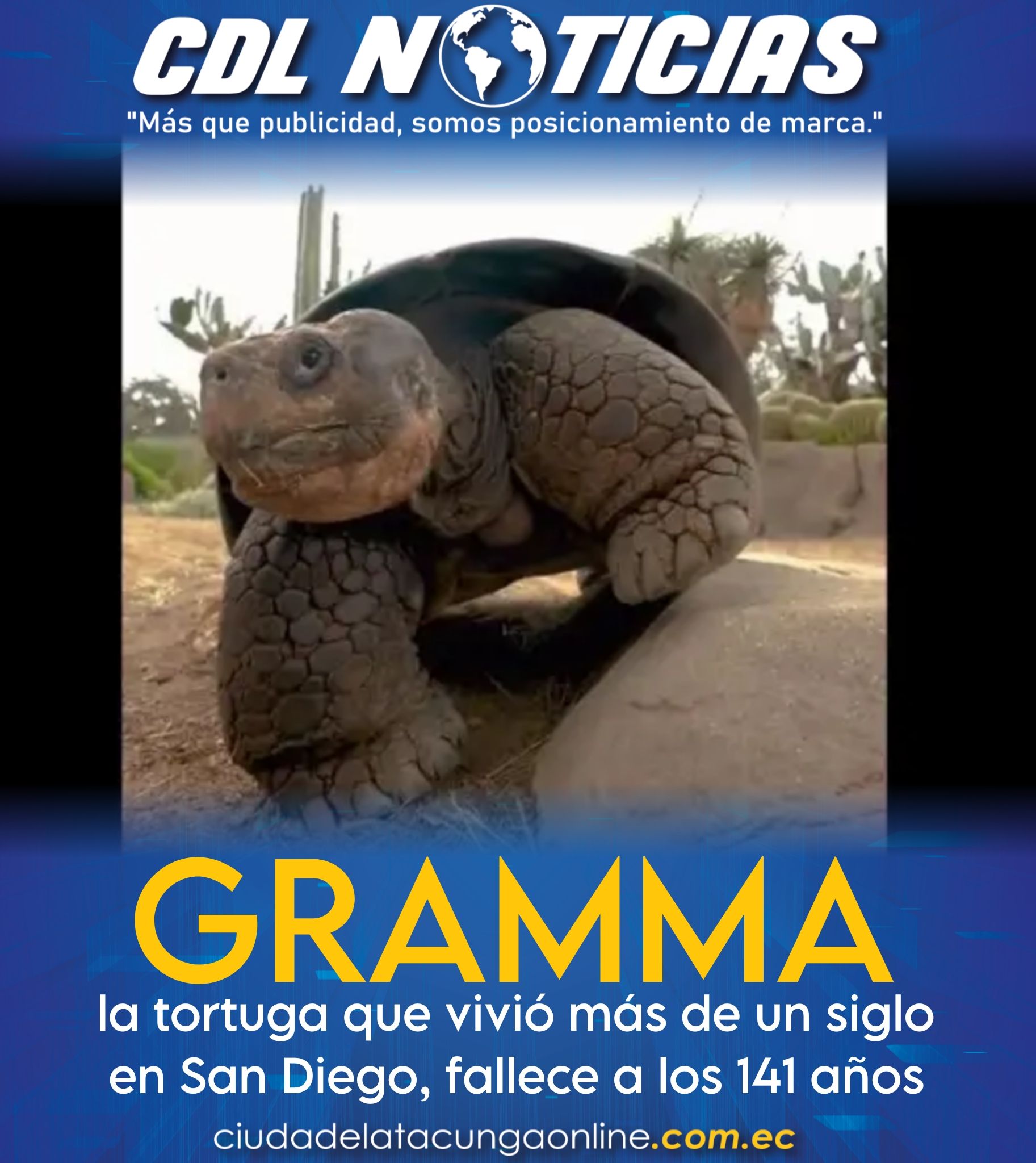 Carolina Jaramillo renunció a la vocería, pero sigue en el Gobierno como Asesora 2