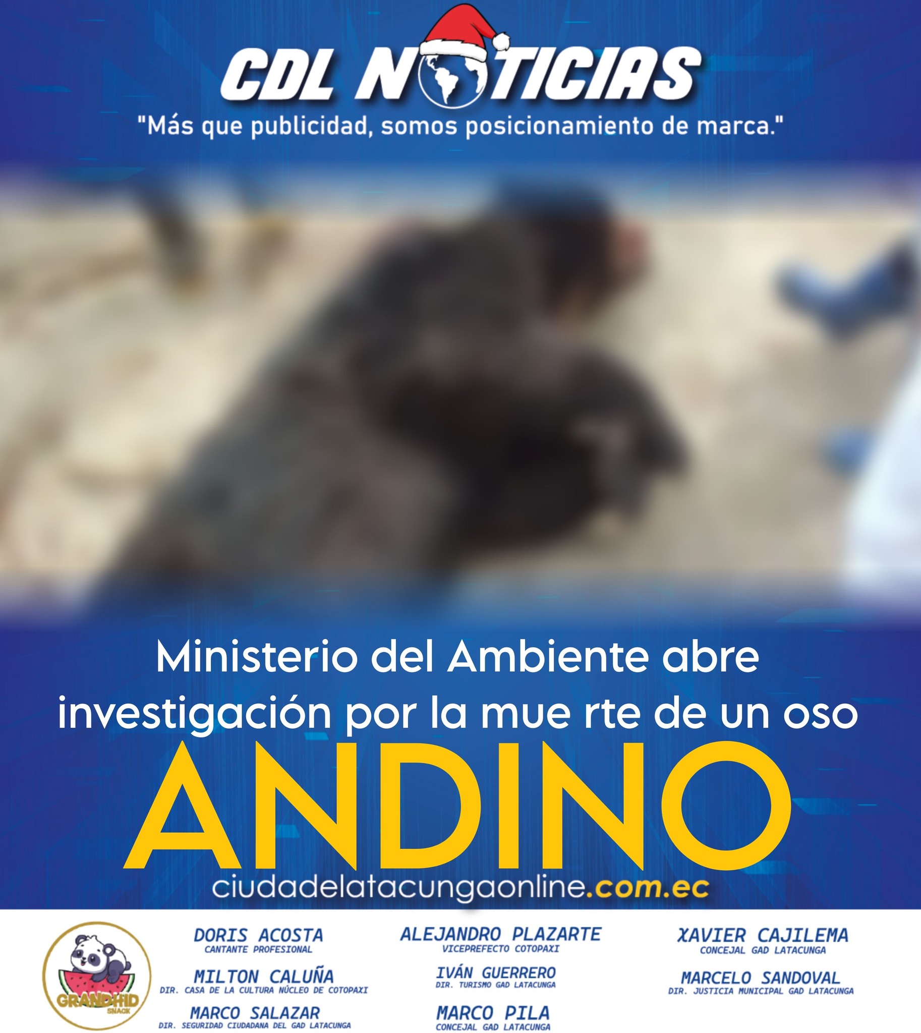 Ministerio del Ambiente abre investigación por la mue rte de un oso andino