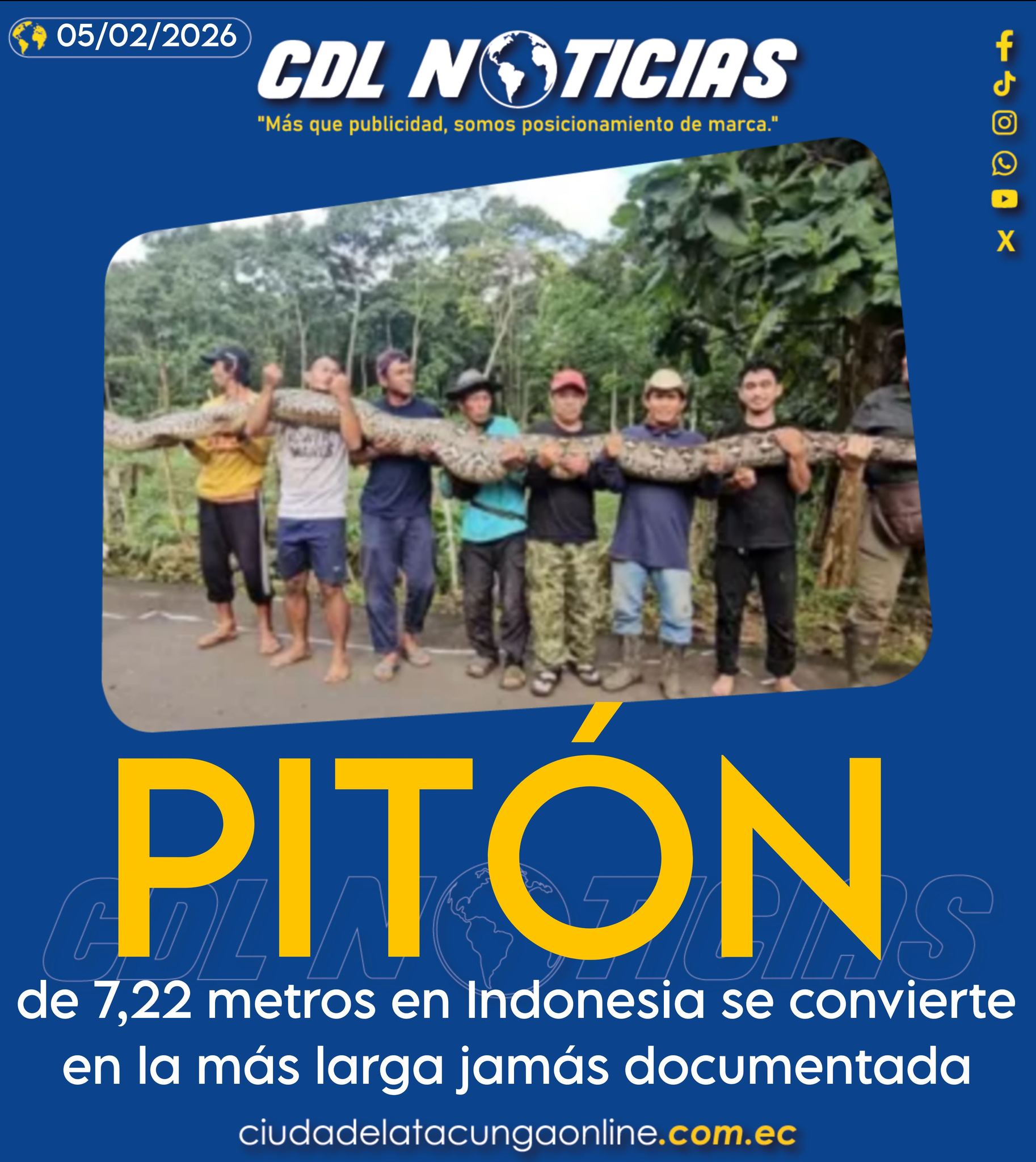 Pitón de 7,22 metros en Indonesia se convierte en la más larga jamás documentada