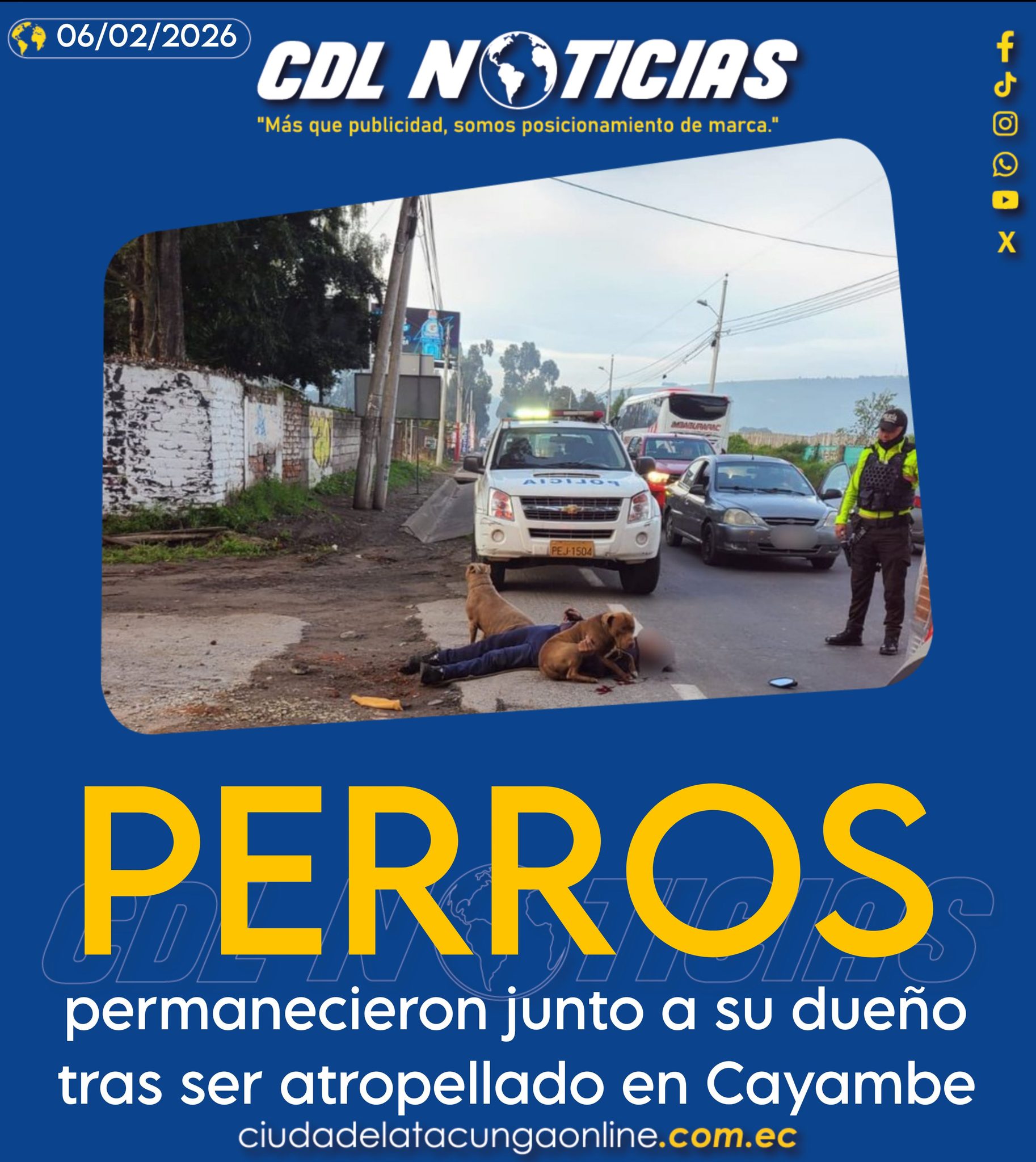 Dos perros permanecieron junto a su dueño tras ser atropellado en Cayambe