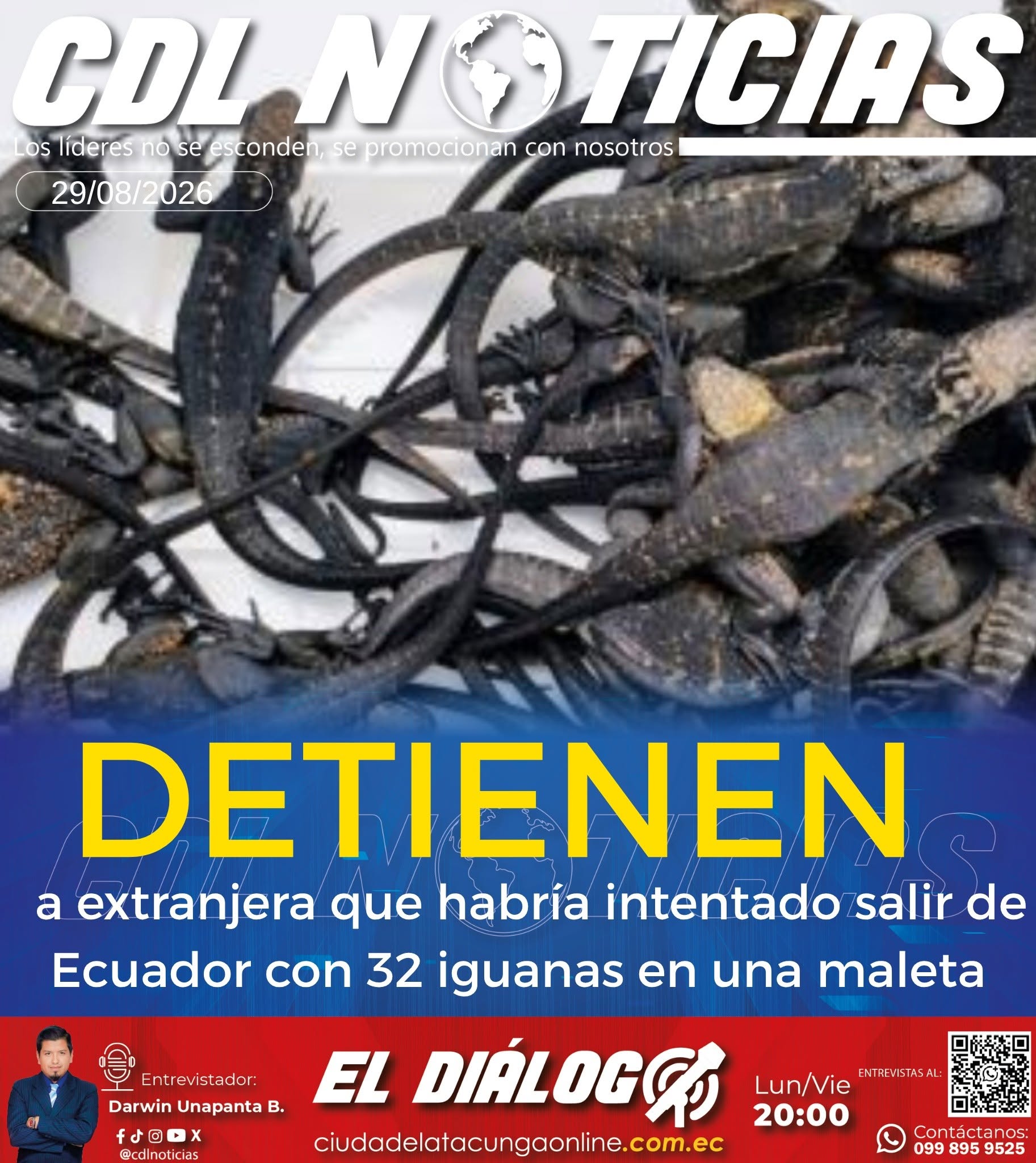 Detienen a extranjera que habría intentado salir de Ecuador con 32 iguanas en una maleta