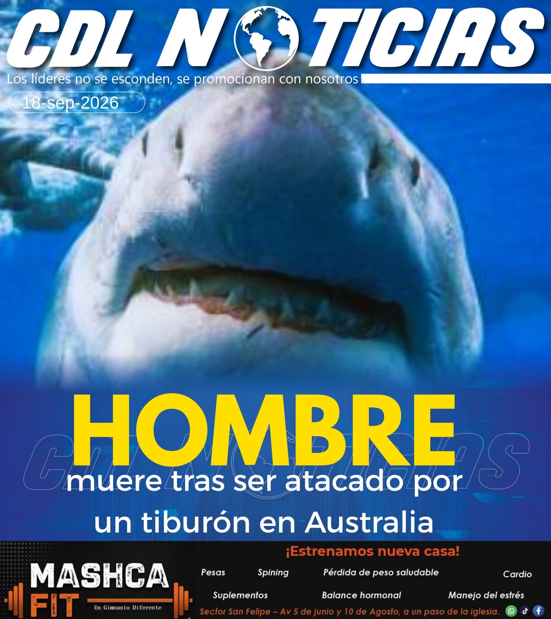 Hombre muere tras ser atacado por un tiburón en Australia